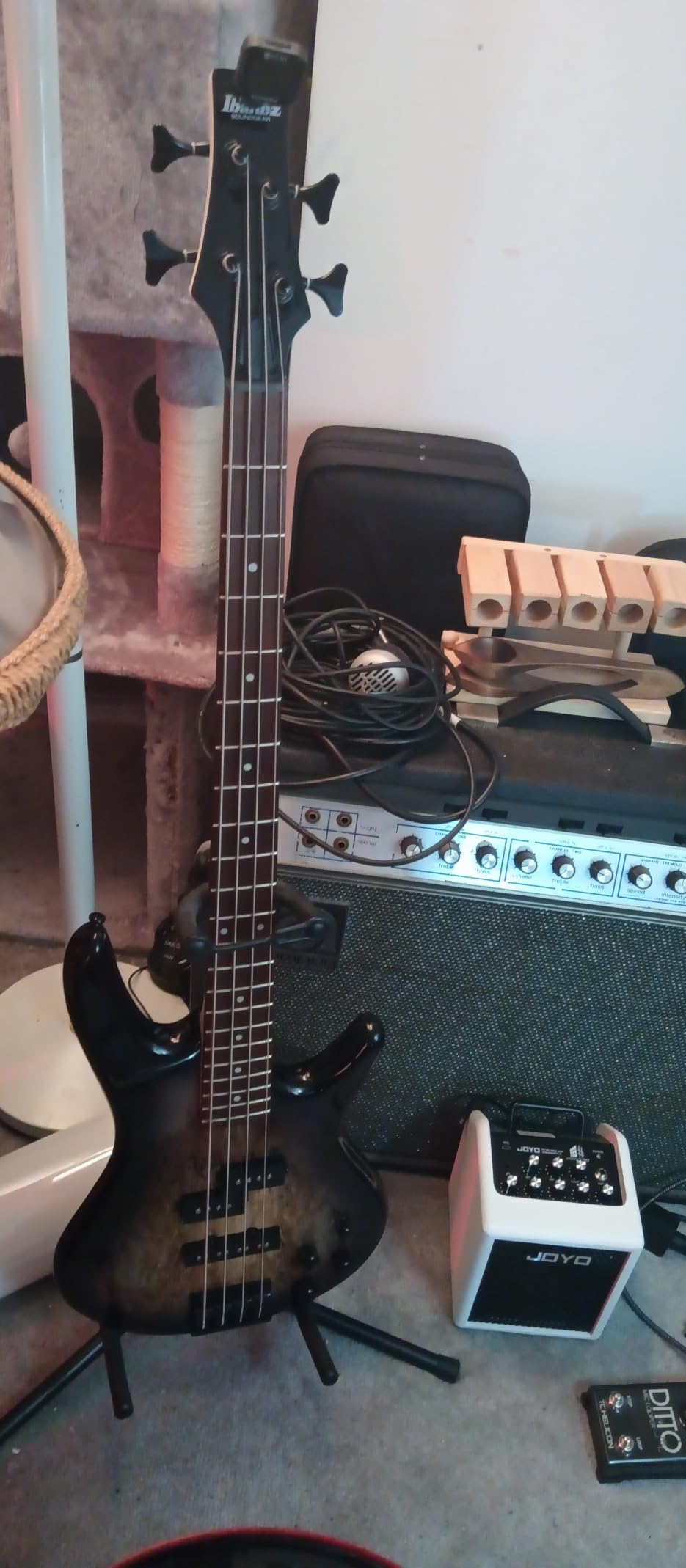 Ibanez Gio GSR200TR Bass Guitar - Transparent Red customer photo 2