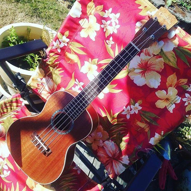 Cordoba 15CM Concert Ukulele - Hand Crafted With Mahogany Top, Back & Sides, Authentic Abalone Rosette & Satin Finish & Premium Aquila Strings customer photo 2