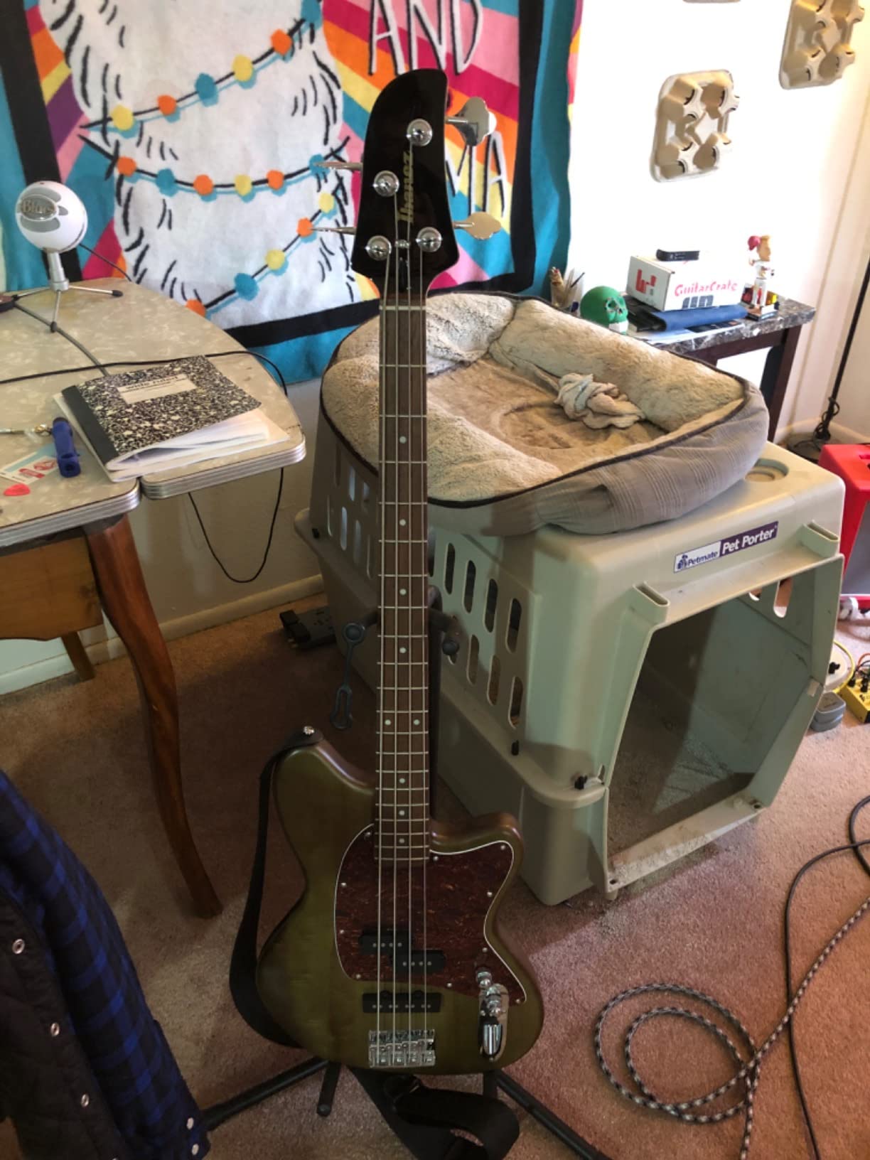 Ibanez TMB100 - Mint Green 4-String Electric Bass Guitar customer photo 2