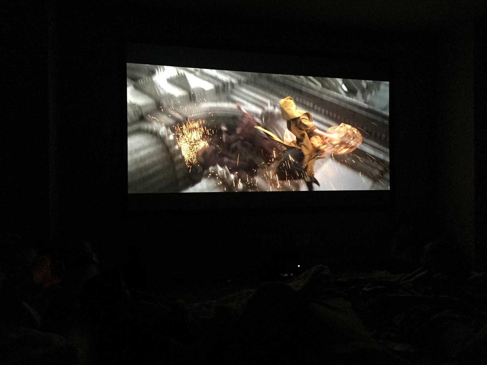 Elite Screens 110-Inch Fixed Frame ALR Projector Screen, Ceiling Light Rejecting, 8K Ultra HD, ISF-Certified CineGrey 3D Material, Indoor Home Theater Screen for Standard Throw Projectors, ER110DHD3 customer photo 1