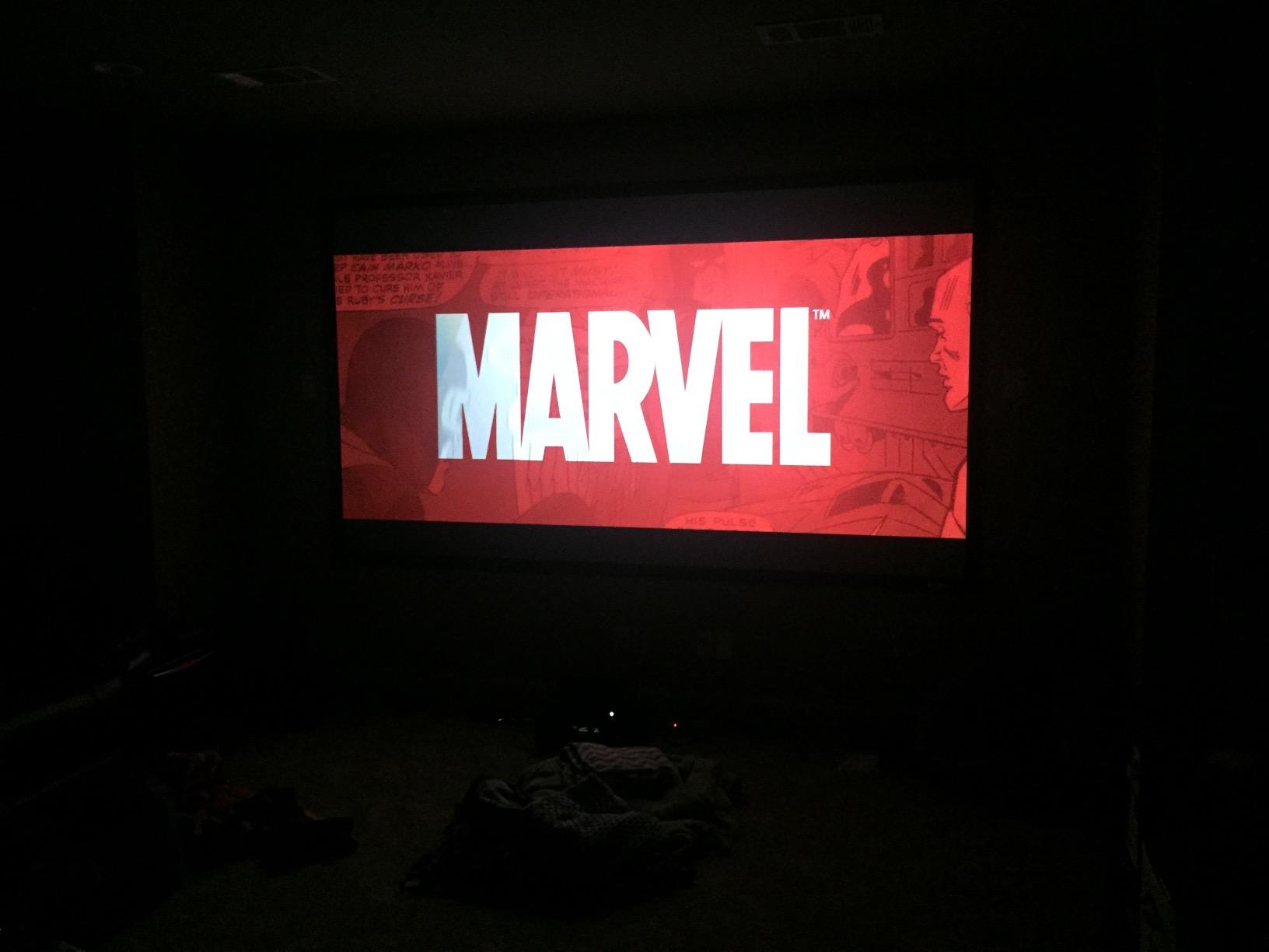Elite Screens 110-Inch Fixed Frame ALR Projector Screen, Ceiling Light Rejecting, 8K Ultra HD, ISF-Certified CineGrey 3D Material, Indoor Home Theater Screen for Standard Throw Projectors, ER110DHD3 customer photo 2