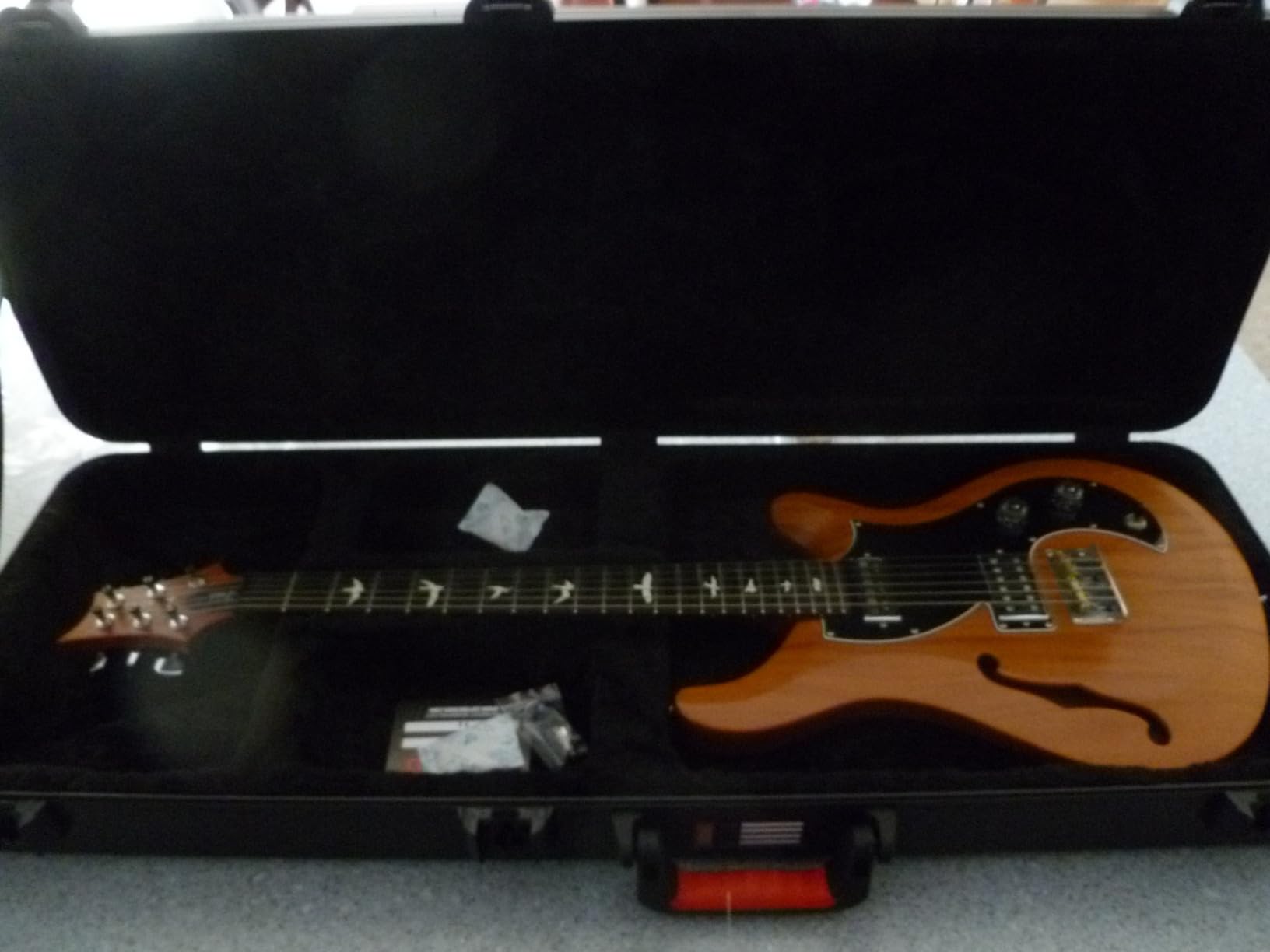 Gator Cases Molded Flight Case for Strat/Tele Style Electric Guitars with TSA Approved Locking Latch (GTSA-GTRELEC) customer photo 1
