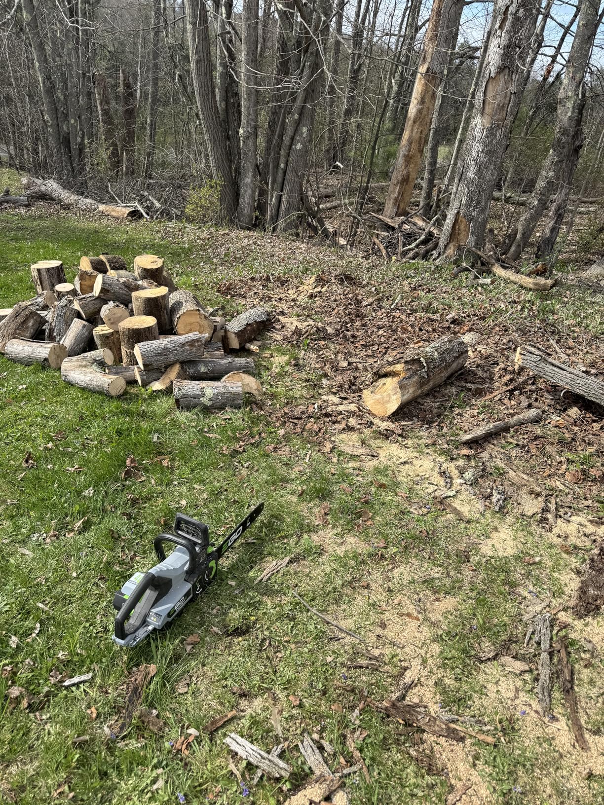 EGO POWER+ Chain Saw, 16” Battery Powered Chainsaw, Electric Cordless, Includes 56V 4.0Ah Battery and Charger – CS1613 customer photo 1
