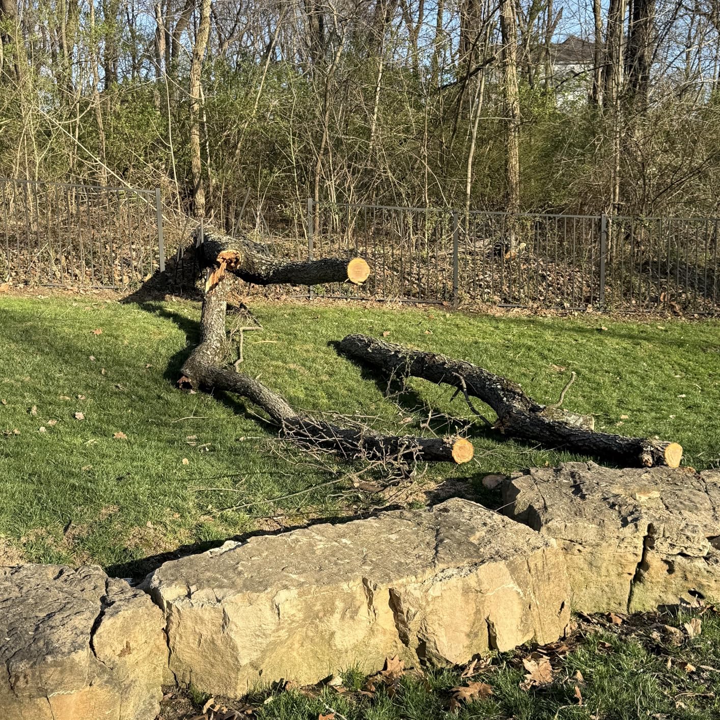 EGO POWER+ Chain Saw, 16” Battery Powered Chainsaw, Electric Cordless, Includes 56V 4.0Ah Battery and Charger – CS1613 customer photo 2