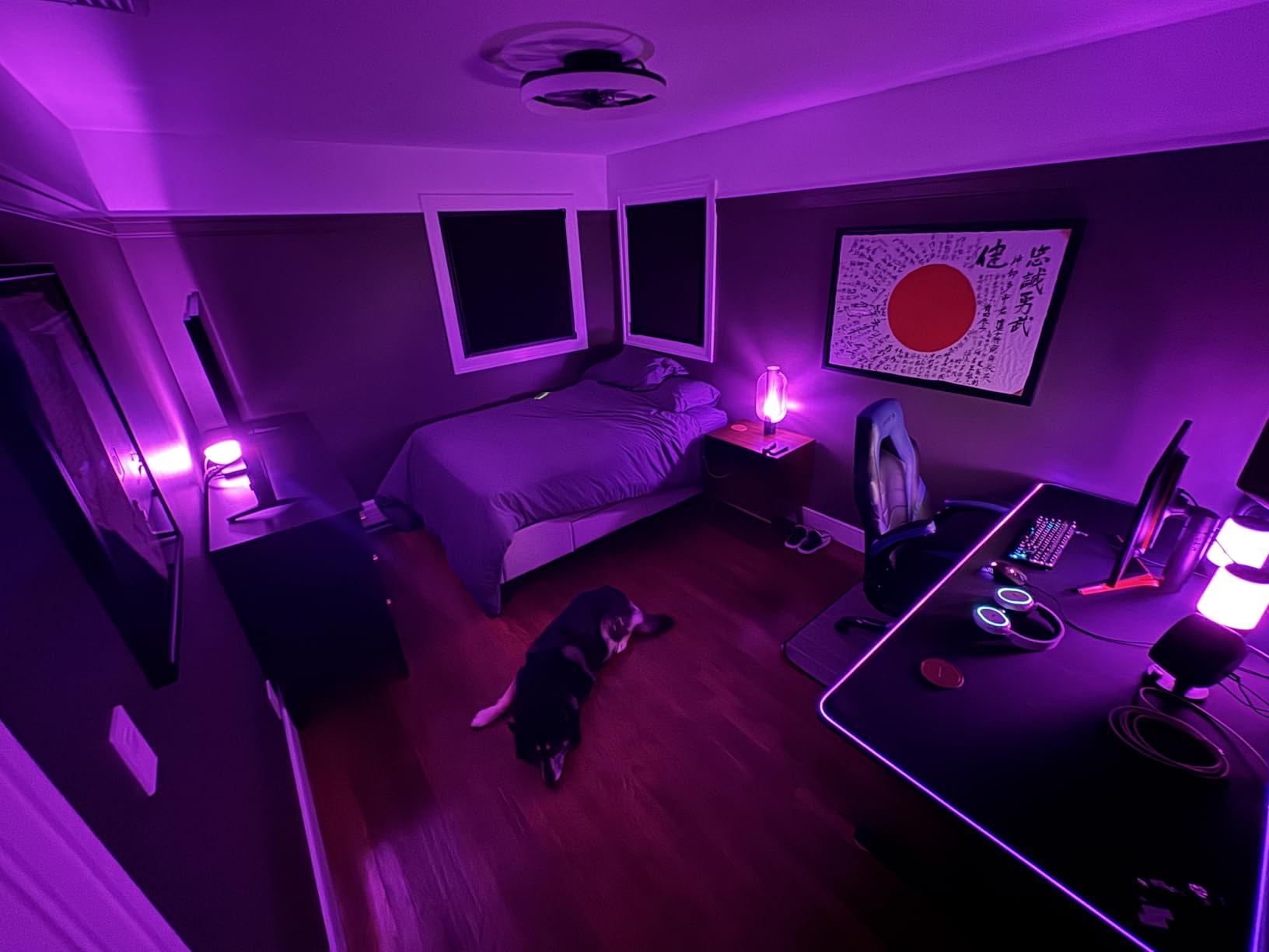 VIVO Electric 71 x 30 in Standing Desk with Full-Size RGB Mouse Pad, Memory Height Adjustment, 1B Series, Holds 220 lbs, Black Top Black Frame, DESK-KIT-1B7BP customer photo 2