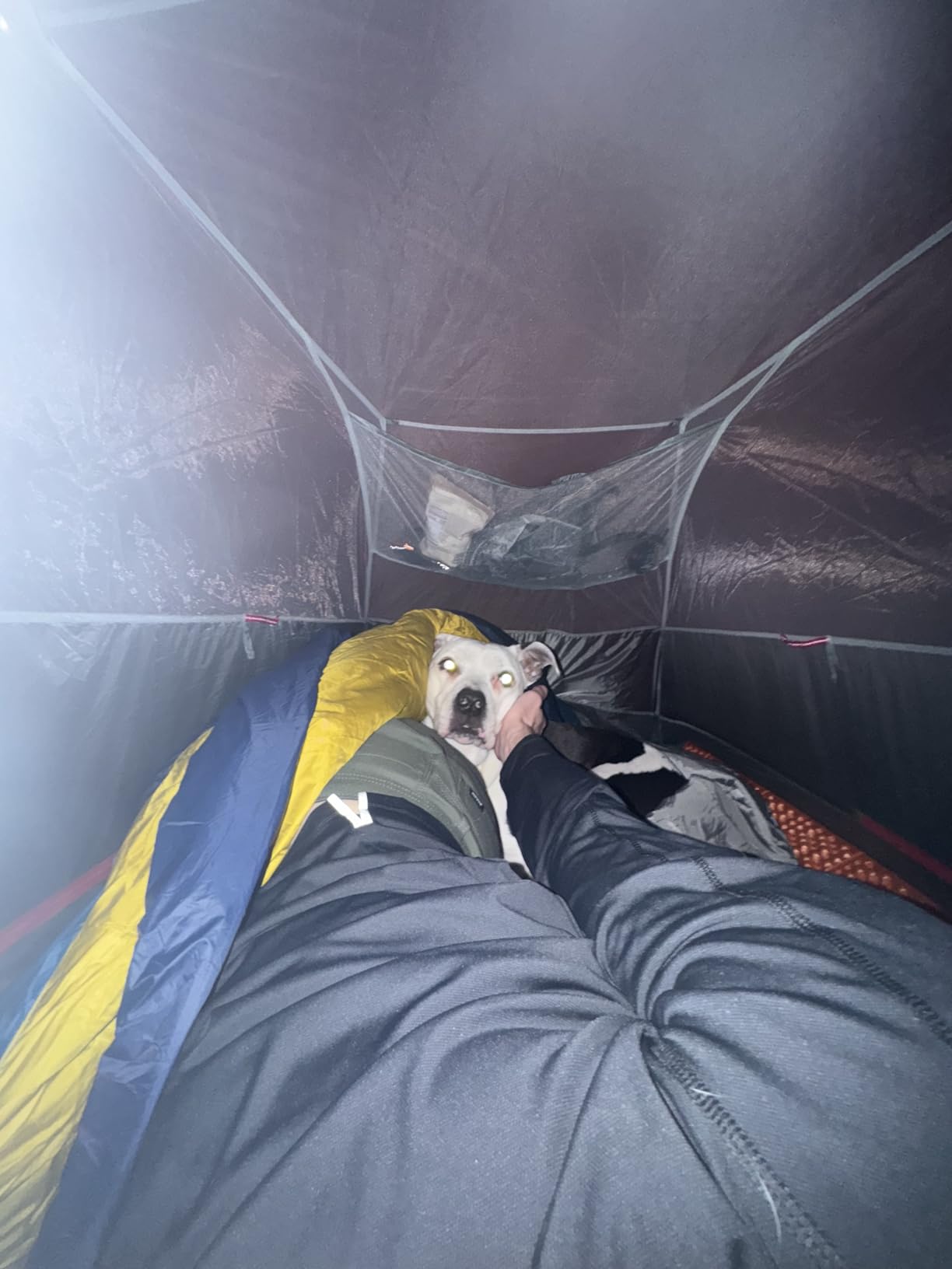Kelty Cosmic 20 Down Mummy Sleeping Bag for Backpacking, Campers, 550 Fill Power, Recycled Fabrics with PFAS-Free DWR customer photo 2