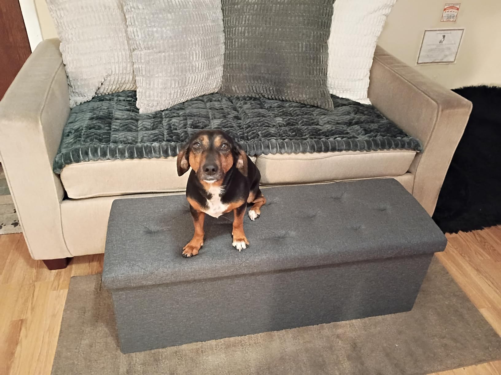 DUMOS 43 Inch Folding Storage Ottoman Bench, Large Ottoman with Storage | Storage Chest with Padded Seat, End of Bed Foot Rest Stool for Bedroom Living Room, Load 660 lbs, Synthetic Leather, Brown customer photo 2