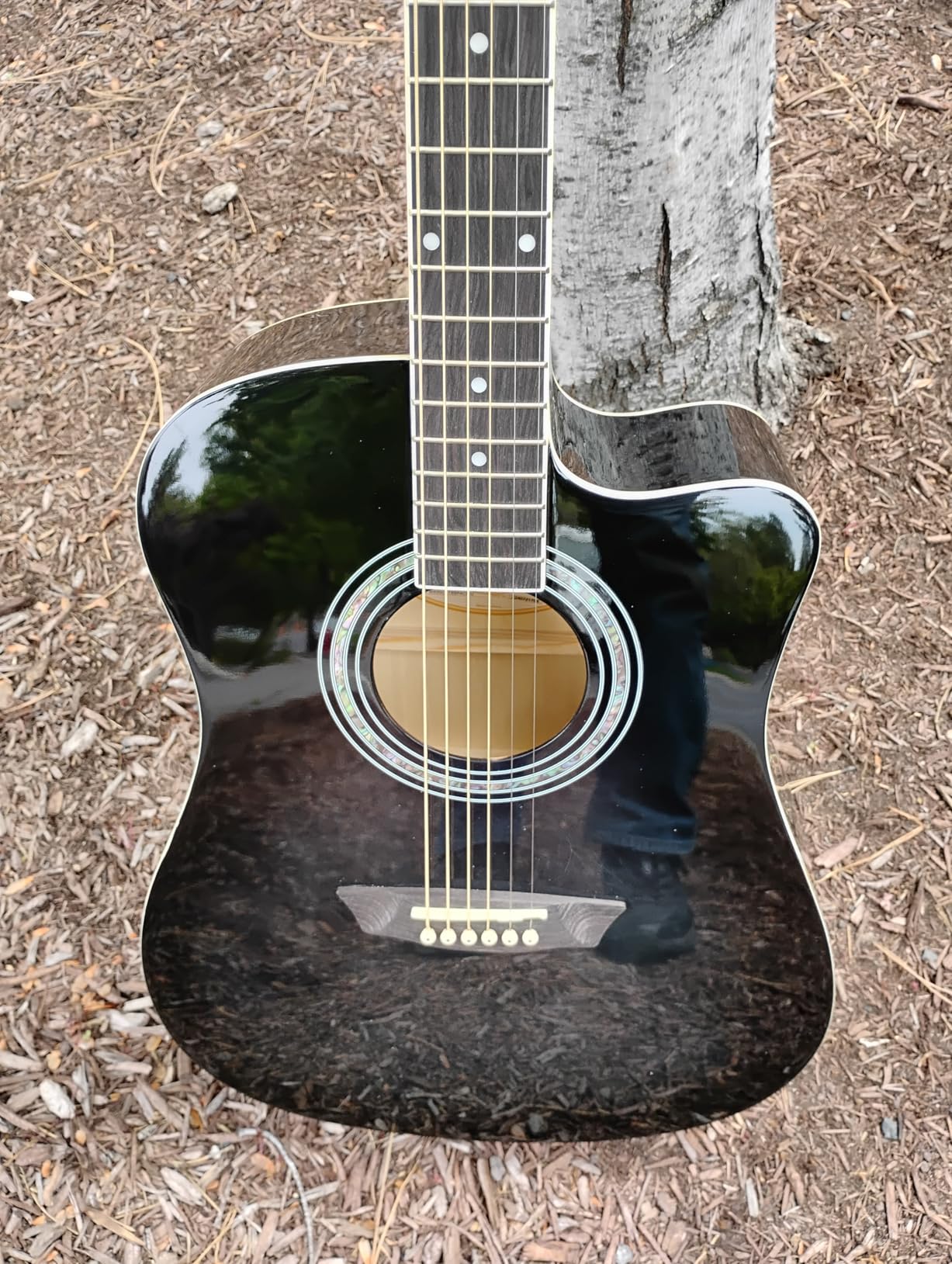 Washburn WA90CE Acoustic-Electric Guitar Kit - Dreadnought Cutaway, Built-In Tuner, Okoume Body customer photo 2
