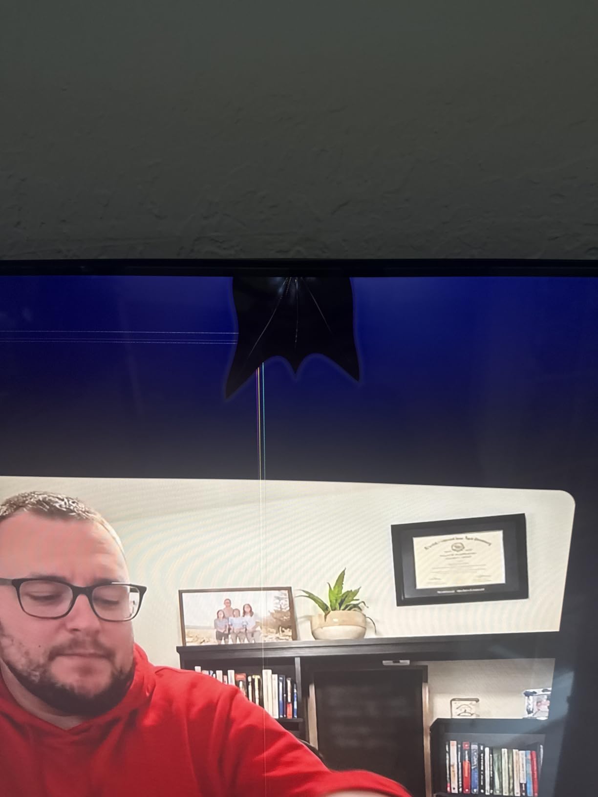 LG Amazon Exclusive 65-Inch Class QNED AI 4K QNED73 Series Mini LED Smart TV (65QNED73BUA, 2026) customer photo 1