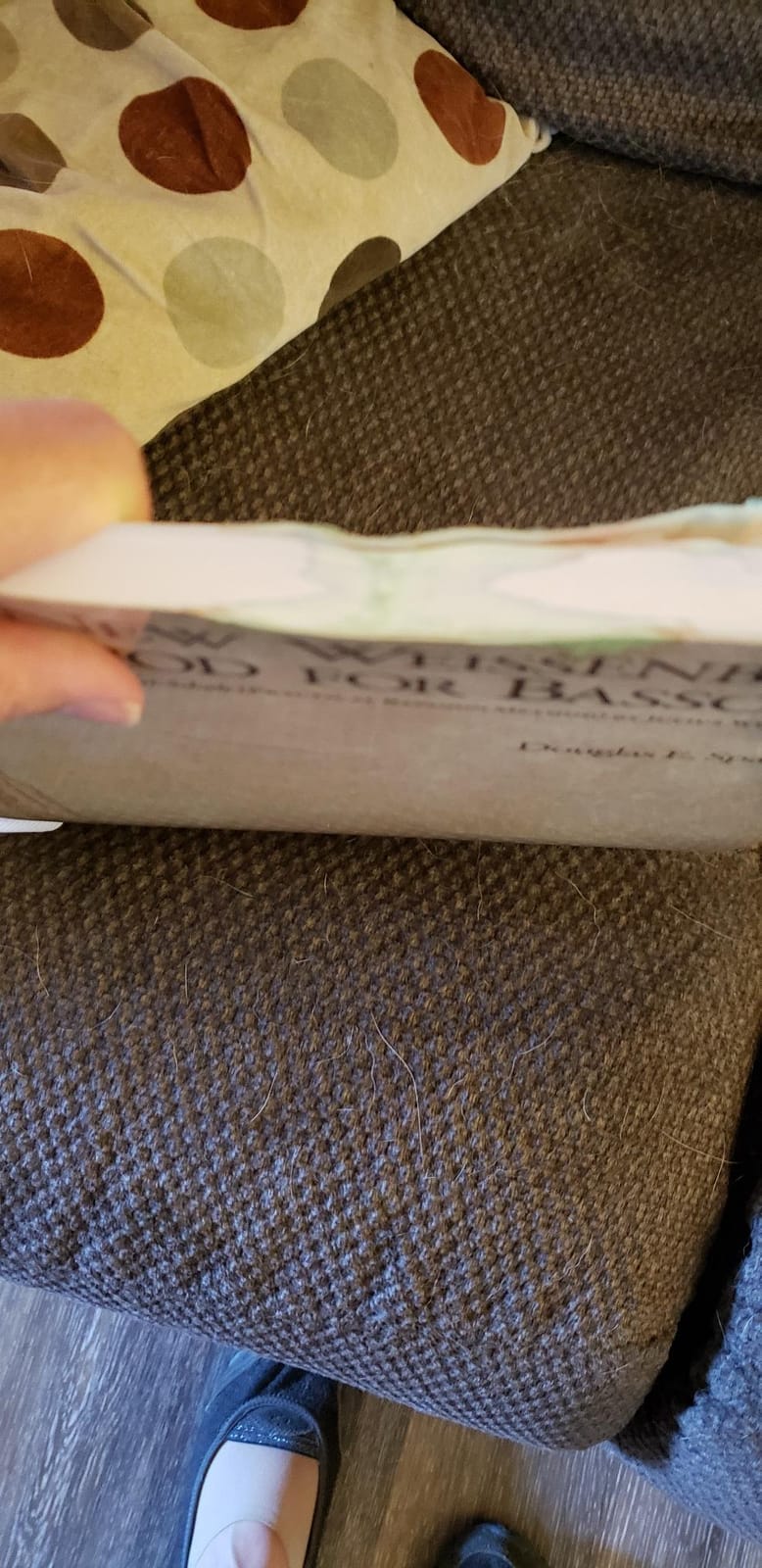 The New Weissenborn Method for Bassoon | Spiral Bound Sheet Music Book for Beginners and Advanced Students | Updated Fingering Charts and Exercises customer photo 2