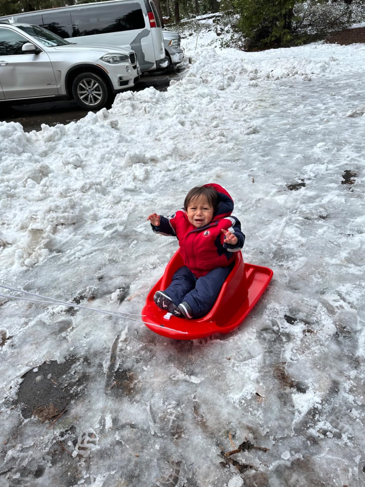 Flexible Flyer Baby Pull Sled. Toddler Boggan. Sleigh for Kids customer photo 1