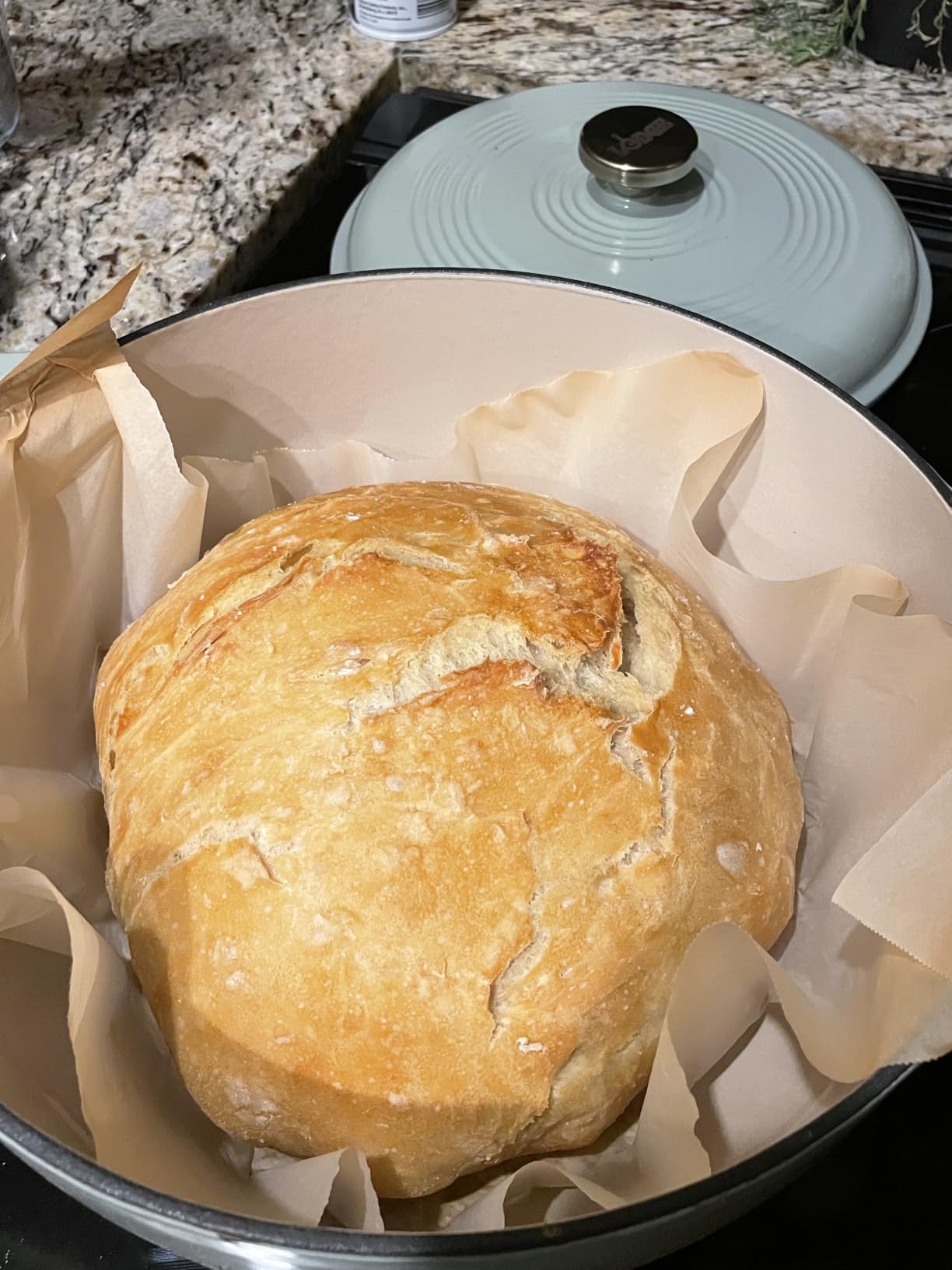 Lodge Essential Enamel Cast Iron Dutch Oven 6 Quarts - Perfect for Bread Baking, Braising, Marinating & Slow Cooking, Features Moisture-Sealing Lid & Dual Handles, Kitchen Essentials, Caribbean Blue customer photo 1