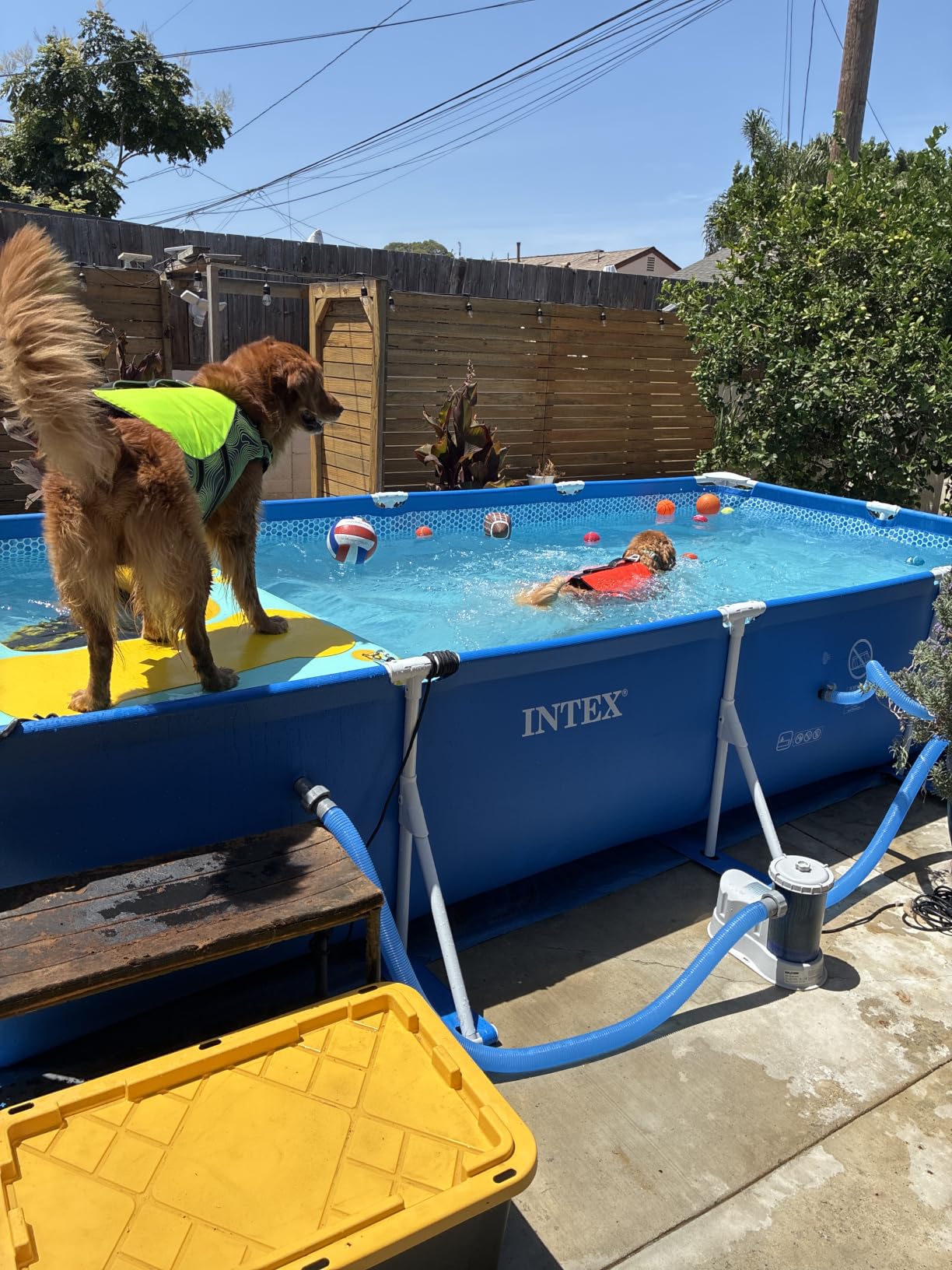 INTEX Metal Frame 14ft 9in x 7ft 3in x 33in Above Ground Swimming Pool | 28273EH customer photo 1