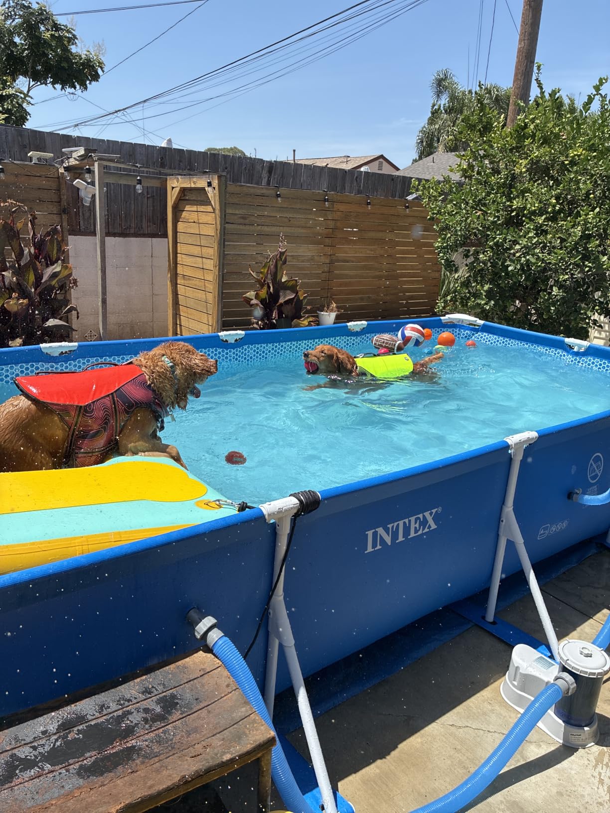 INTEX Metal Frame 14ft 9in x 7ft 3in x 33in Above Ground Swimming Pool | 28273EH customer photo 2