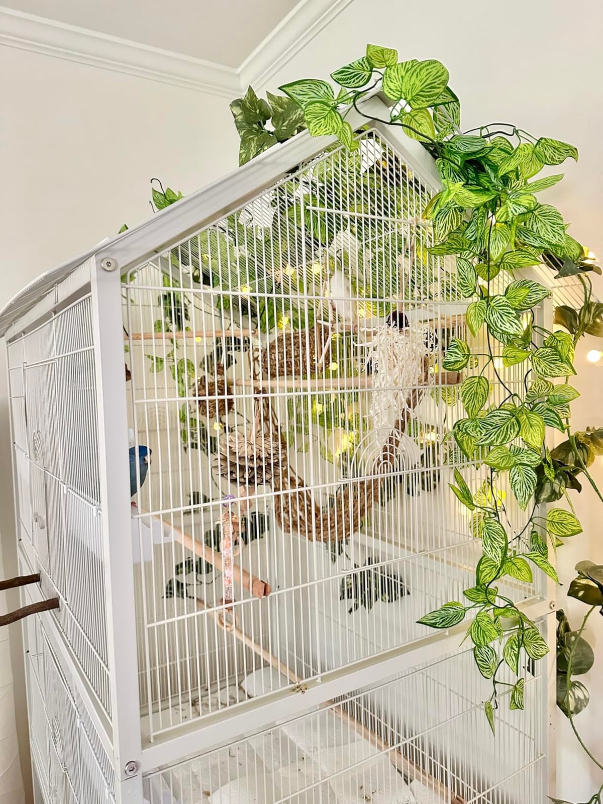 Prevue Pet Products Steel Bird Flight Cage with Wheels - Black, Large customer photo 1