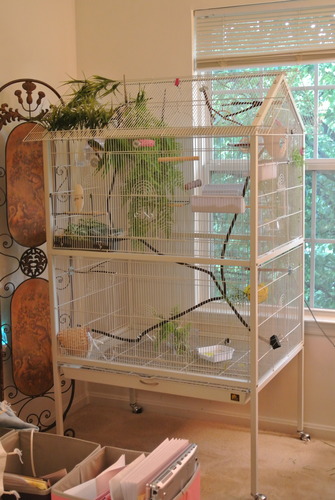 Prevue Pet Products Steel Bird Flight Cage with Wheels - Black, Large customer photo 2