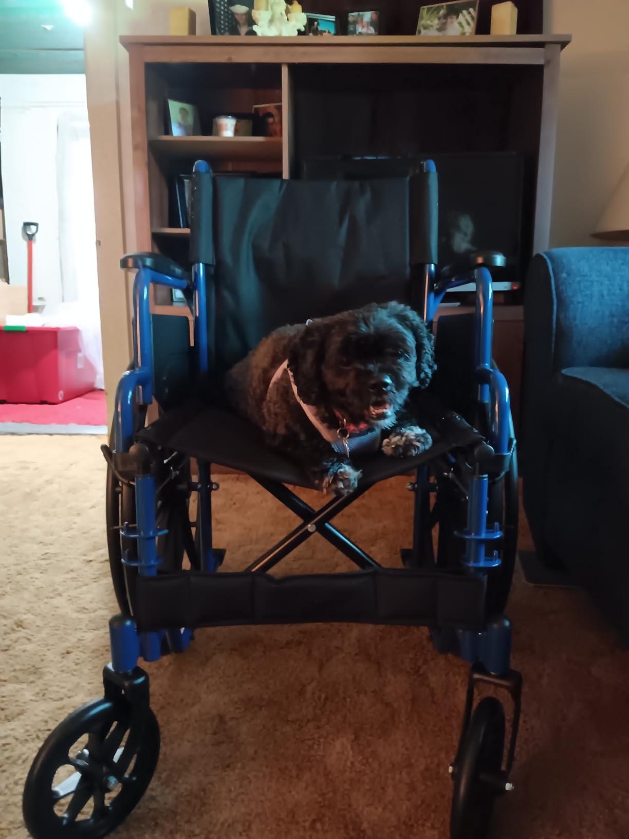 Drive Medical Blue Streak Lightweight Wheelchair, Footrests, 18-Inch Seat | Portable Folding Wheelchair Features Desk Arms, Durable Steel Frame and Swing-away Footrests for Easy Transport and Storage customer photo 1