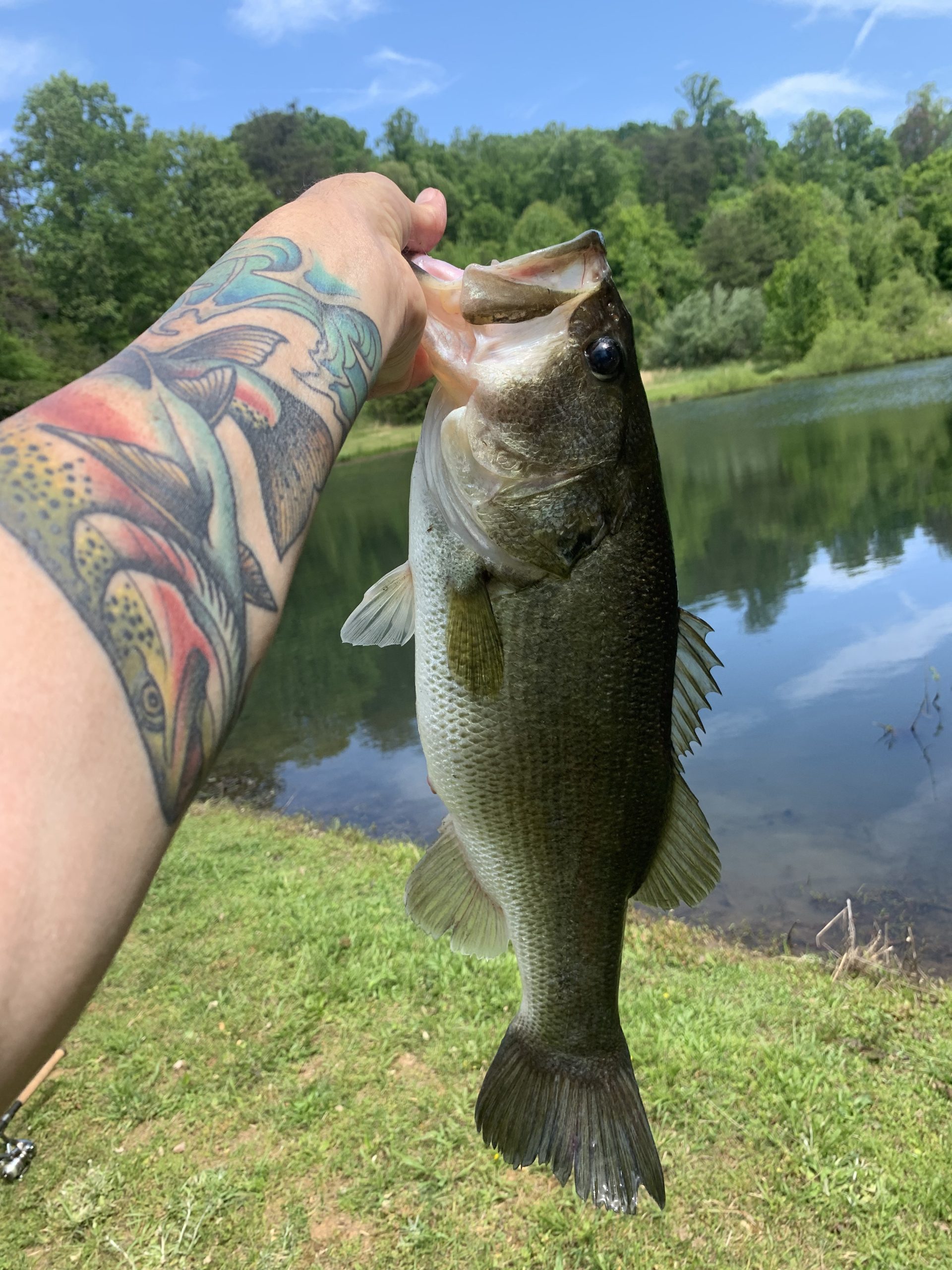 Shimano SYNCOPATE FG Spinning ReelsFishing customer photo 2