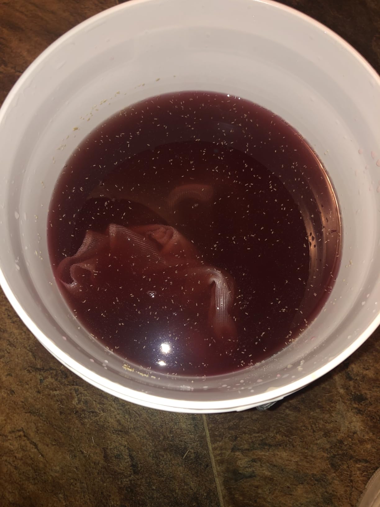 1 Gallon Wine from Fruit Kit customer photo 2