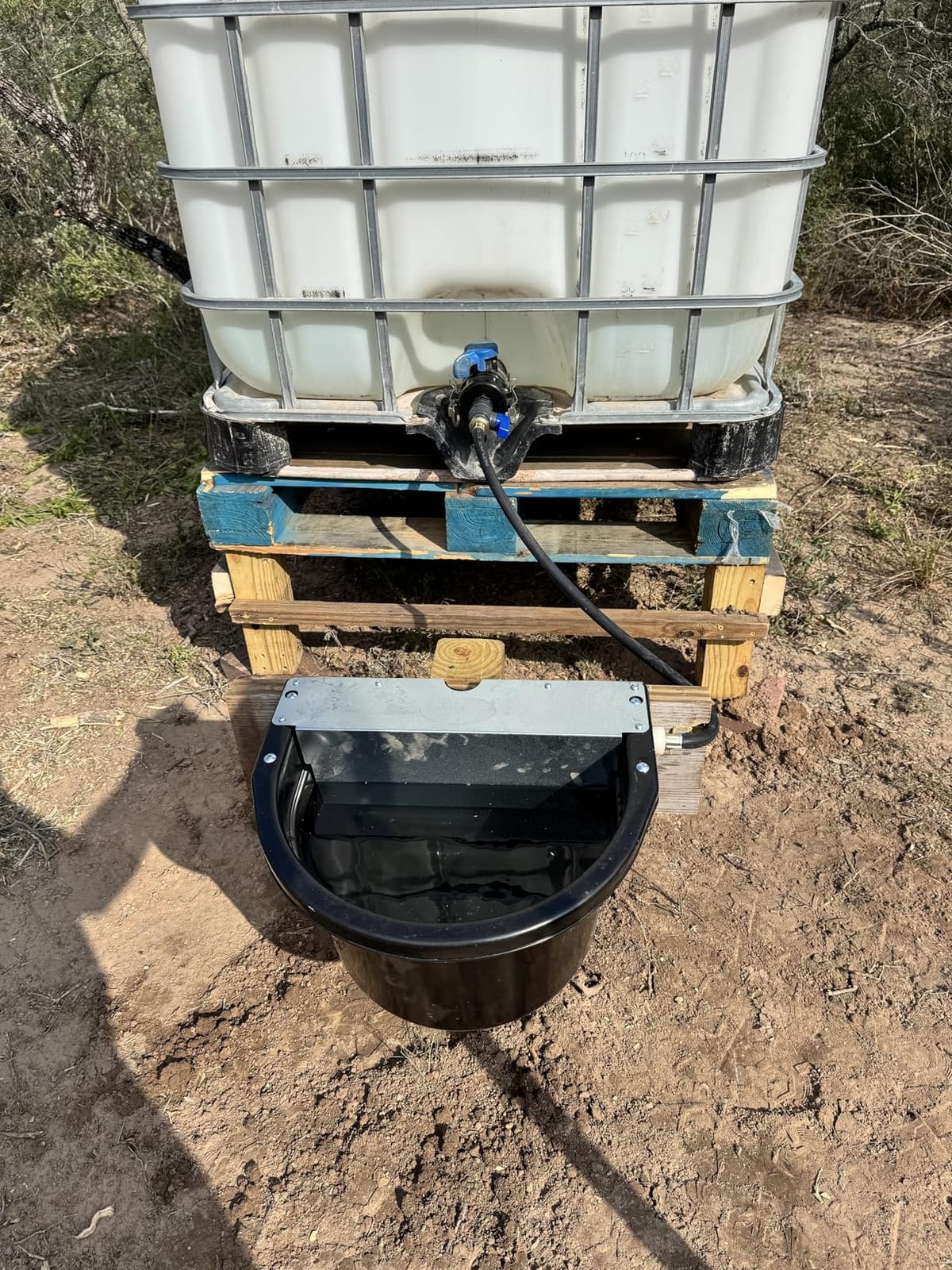 Little Giant Automatic Animal Waterer | DuraMate Float Controlled Automatic Waterer for Livestock | Heavy Duty and Durable | Made in USA | 4 Gallon (Blue, 4 Gallon) customer photo 2