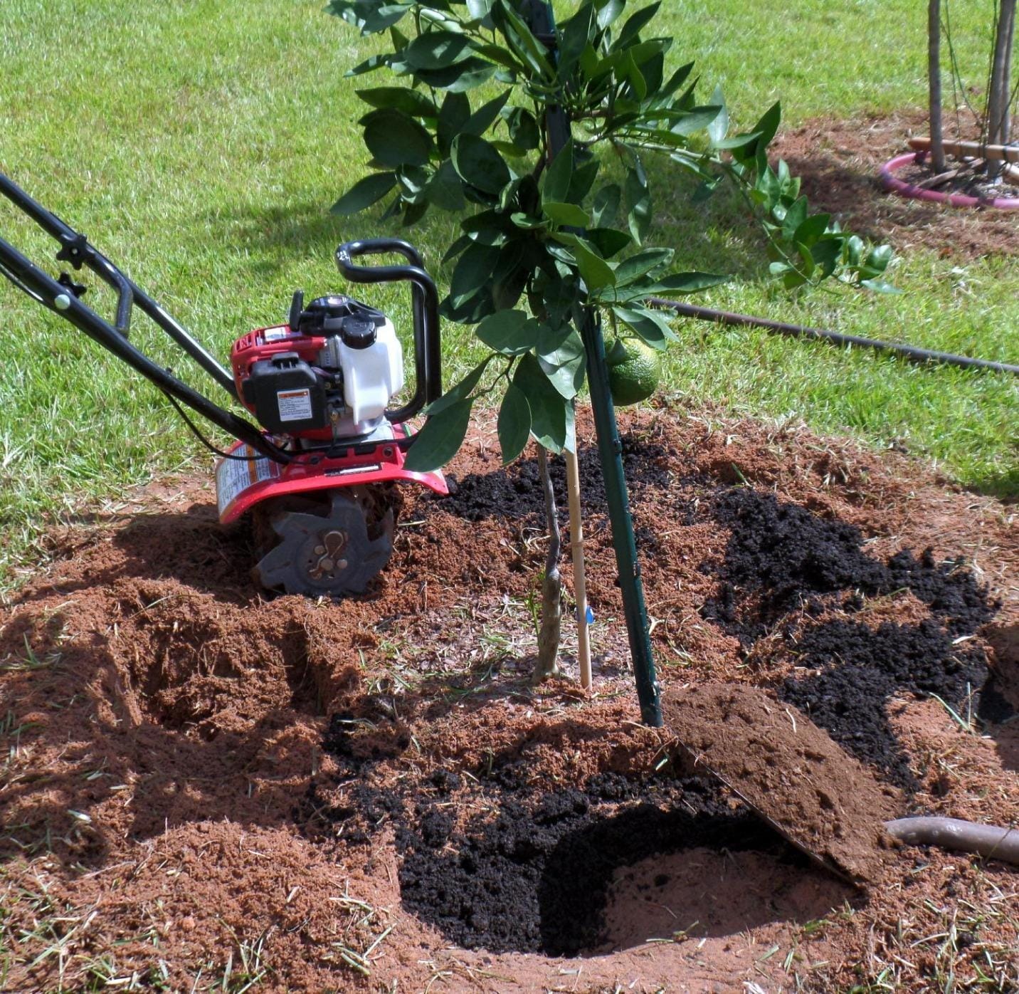 Honda FG110 Mini Tiller Cultivator customer photo 1