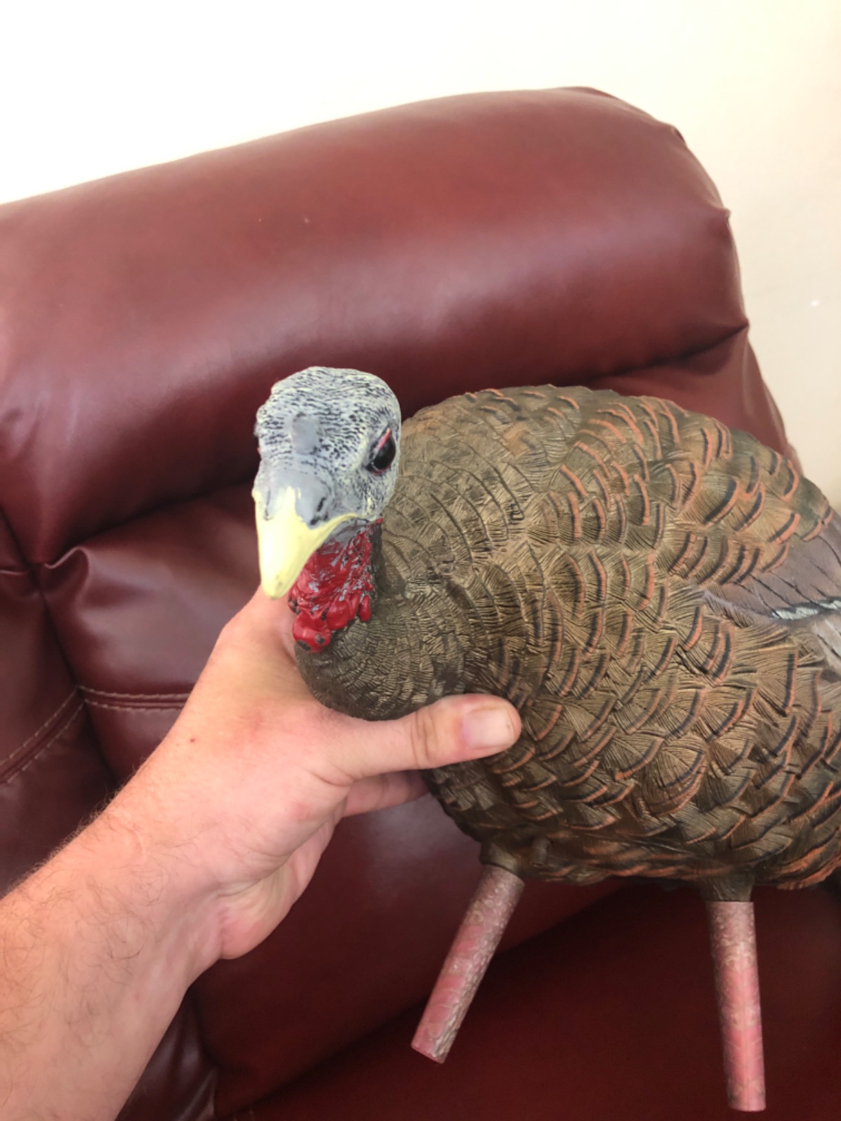 Avian-X LCD Feeder Hen Turkey Decoy (AVX8007) customer photo 1