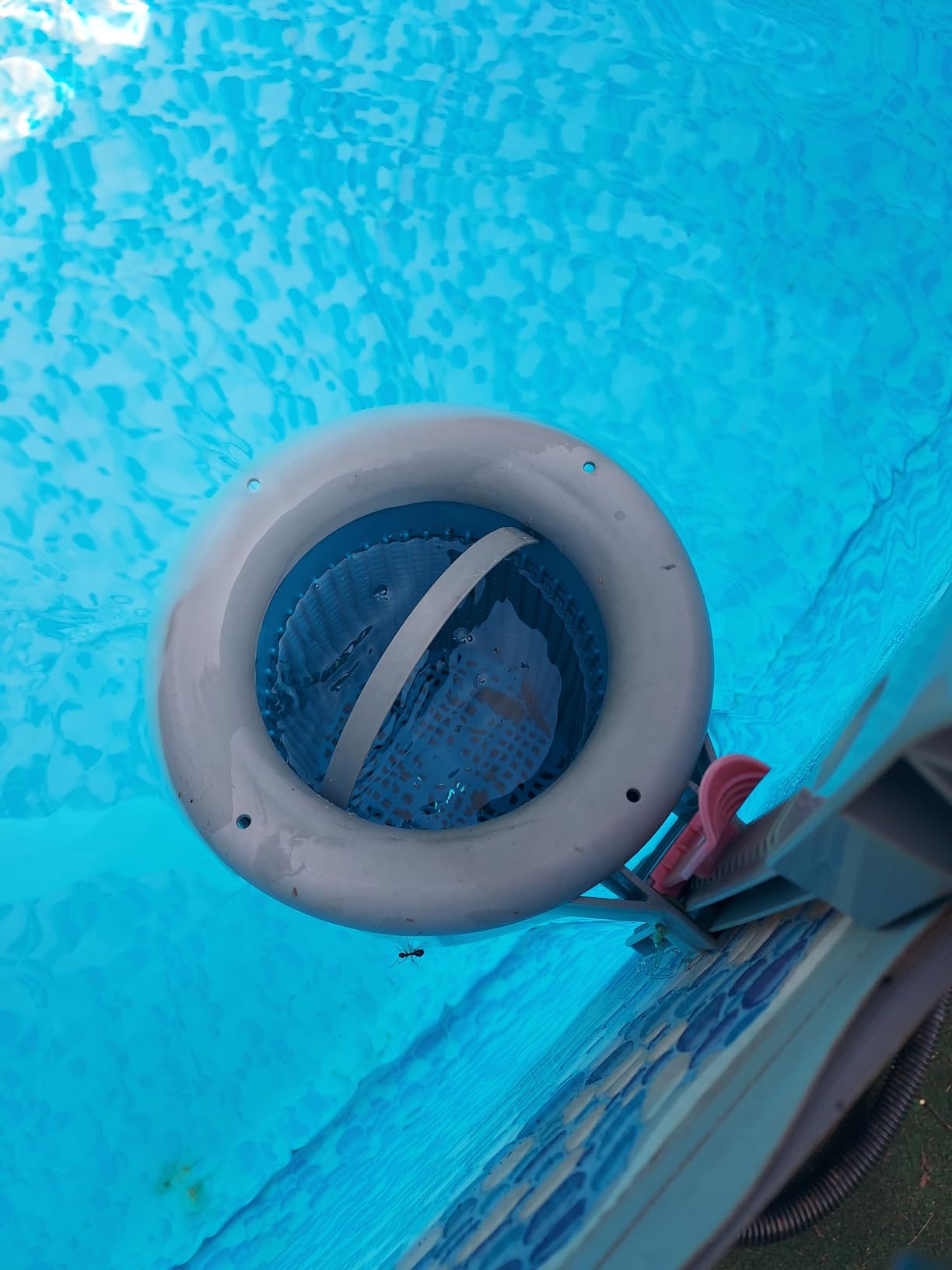Doheny's 1.5 HP Above Ground Swimming Pool Pump | 115V, 83 GPM (1.2 THP) | Stainless Steel Shaft, Reinforced Thermoplastic, Low-Noise, High-Efficiency | 1.5