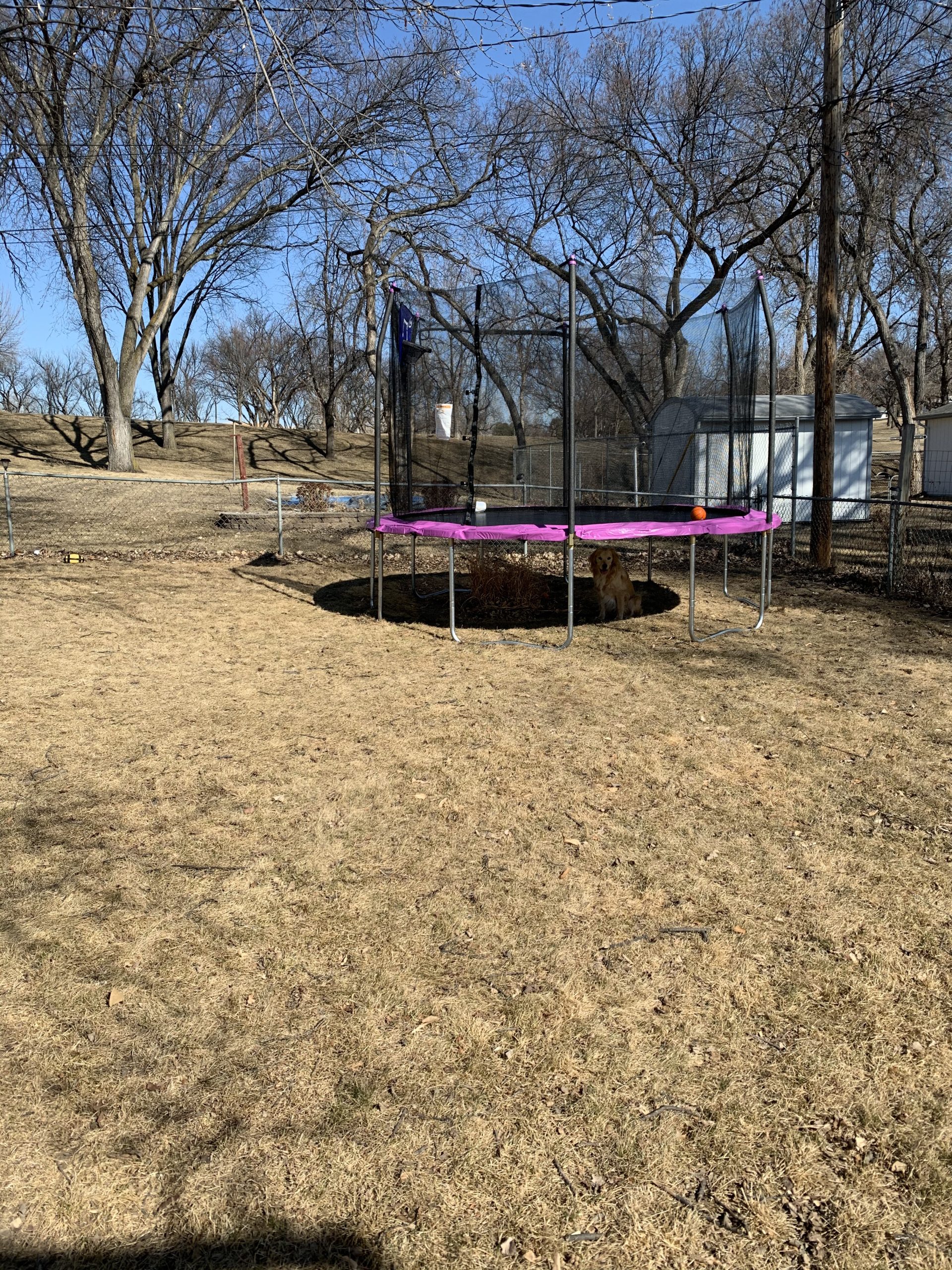 Skywalker Trampoline Outdoor 8 FT, 12 FT, 15 FT Jump N' Dunk Round Outdoor Trampoline with Net and Basketball Hoop customer photo 1