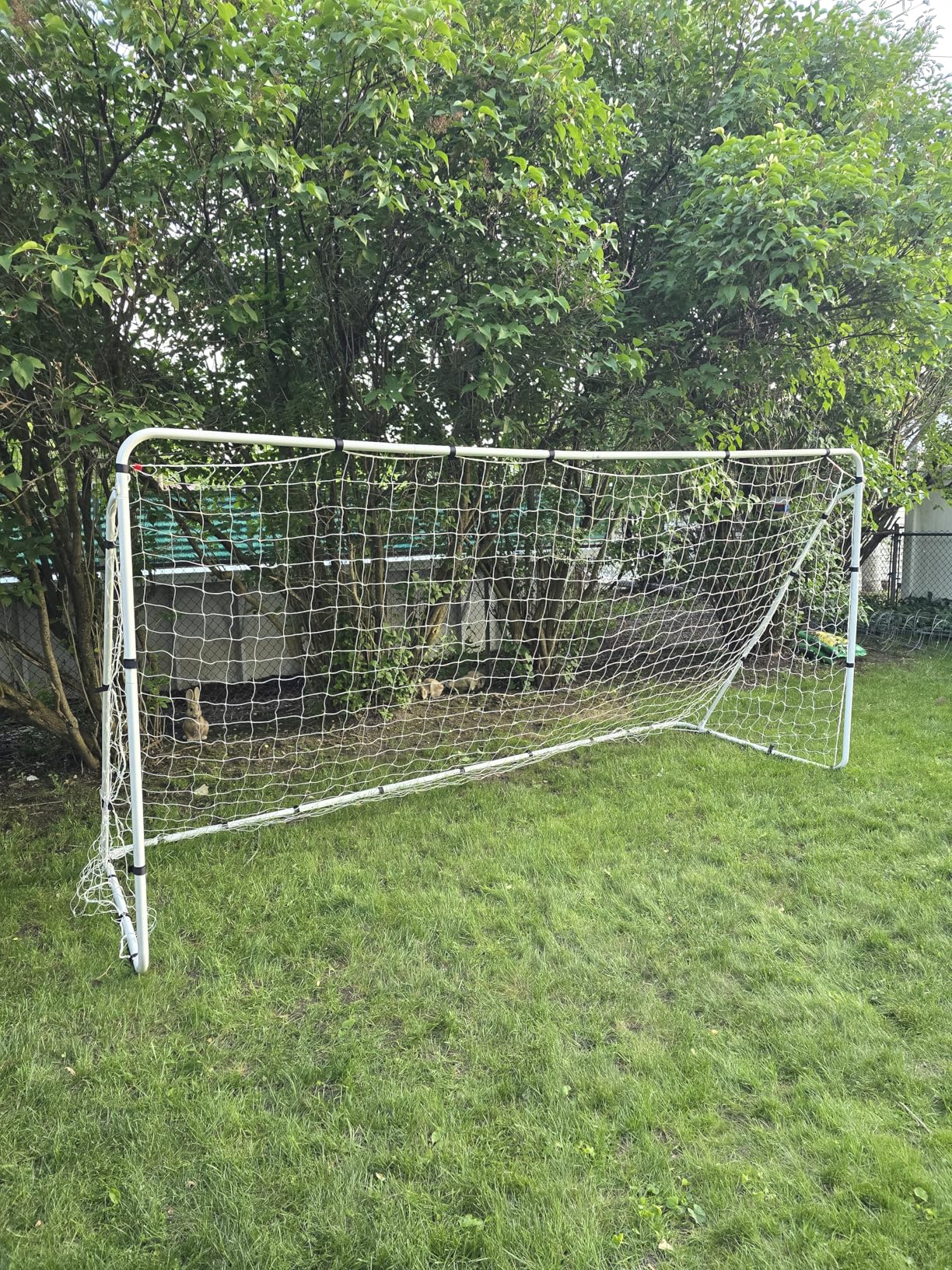 ZENY Portable Soccer Goal for Backyard,12x6 / 10x6.5 / 8x5 / 6x4 ft Youth Adults Soccer Net and Frame for Home Backyard Practice Training Goals, Soccer Training Equipment customer photo 2