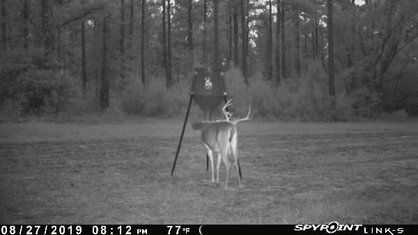Boss Buck Gravity Deer Feeder for Game & Hunting, 200 lb Corn Capacity | All-Season Automatic Wildlife Feeding System with Adjustable Flow, 75-Inch Galvanized Legs, and 3-Way Feed Ports customer photo 2