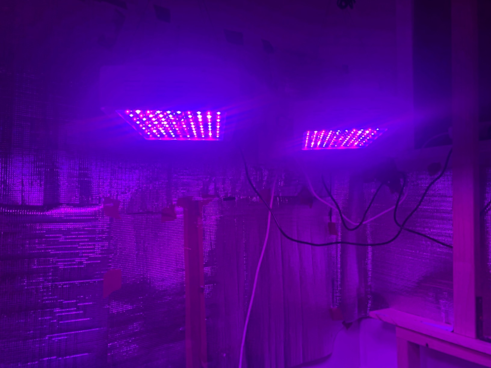 KingLED KP1000 Grow Light for Indoor Plants, Full Spectrum Plant Grow Light | 100W Dimmable LED Growing Light with Veg & Bloom Mode, High PPFD Plant Lamp for Indoor Seed Starting, Fits 2x2/2x3 Grow Tent customer photo 2