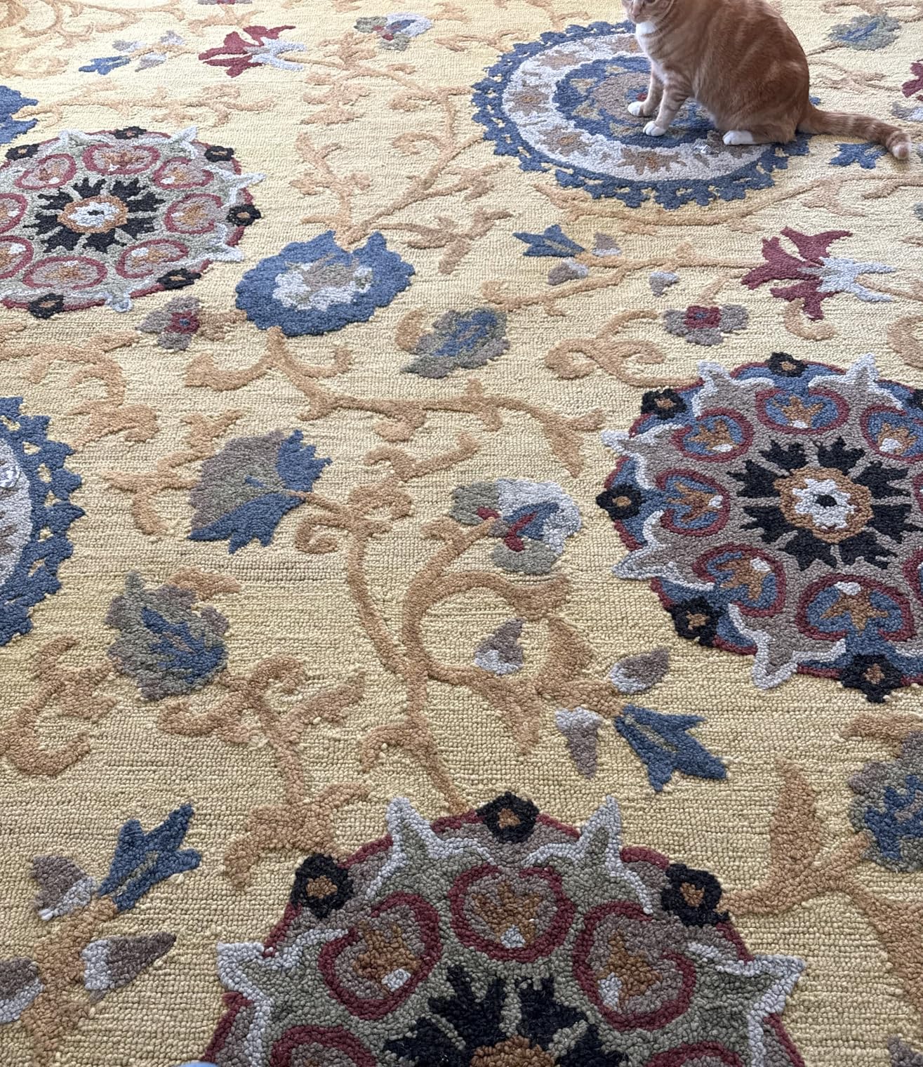 SAFAVIEH Area Rug 8x10 - Blossom Collection - Charcoal & Multi, Handmade Wool, Ideal for Living Room, Bedroom, Office, Dining Space (BLM401A) customer photo 2