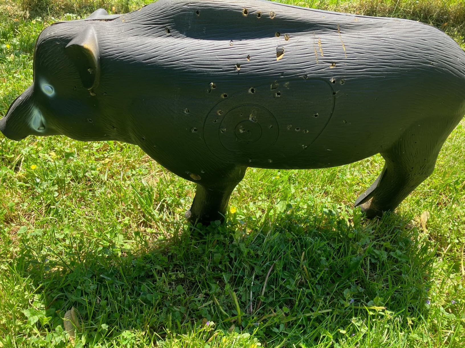 Shooter Field Logic 3D Hog Target customer photo 1