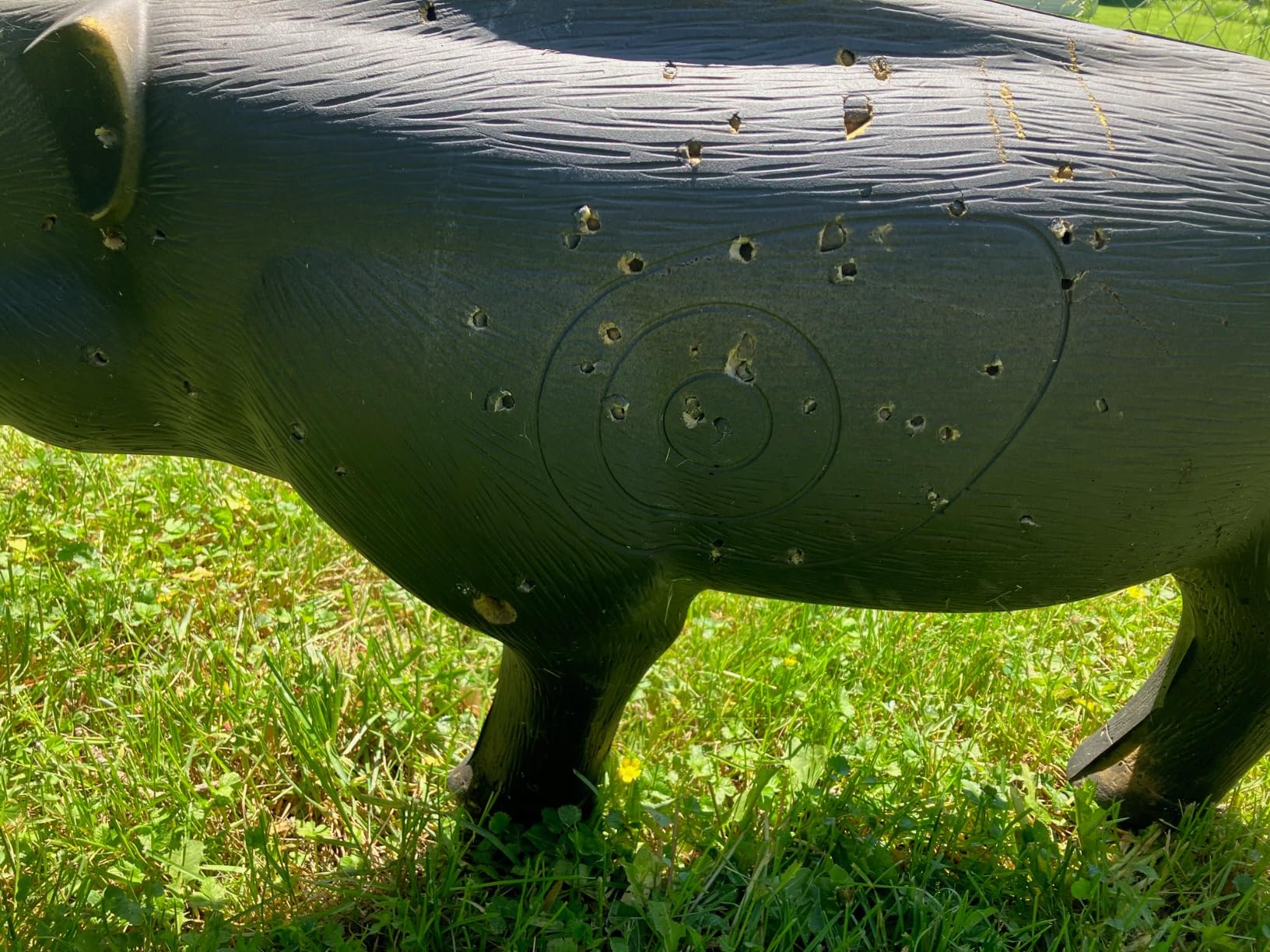 Shooter Field Logic 3D Hog Target customer photo 2