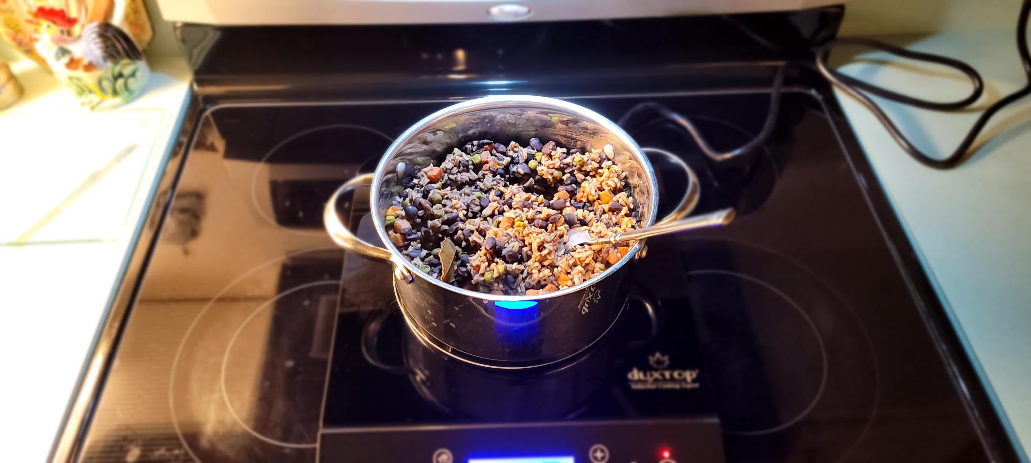 Duxtop Portable Induction Cooktop, Countertop Burner 1800W Silver 9600LS | LCD Sensor Touch BT-200DZ customer photo 2