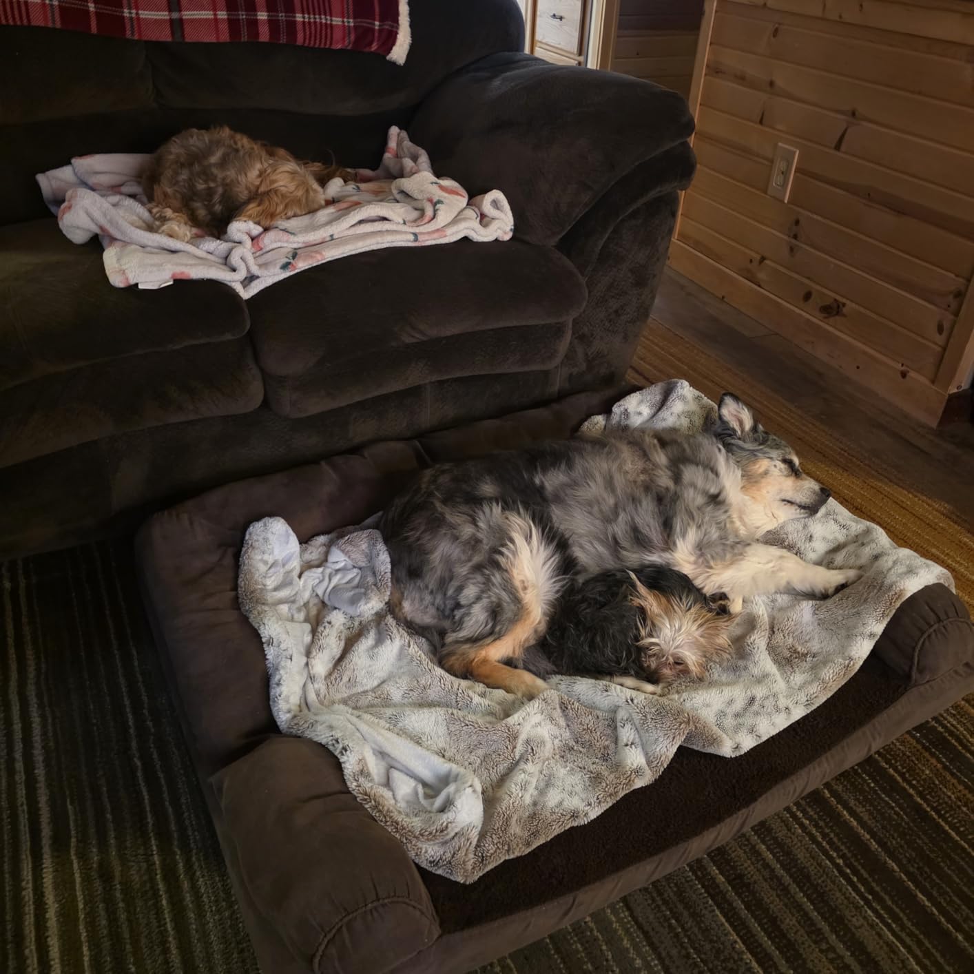 Furhaven Orthopedic Dog Bed for Large Dogs, Sofa-Style with Cool Gel-Top Foam with a Solid Orthopedic Foam Base for Joint Support, Removable Washable Cover, Jumbo XL, Plush & Suede, Gray customer photo 1