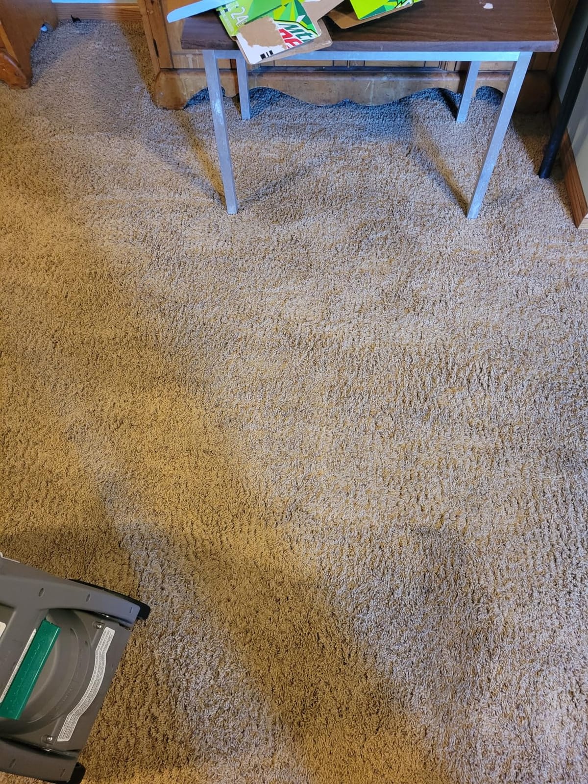 Bissell BigGreen Commercial BG10 Deep Cleaning 2 Motor Extracter Machine w/ Upholstery Tool, and 32 OZ Shampoo Bundle customer photo 1