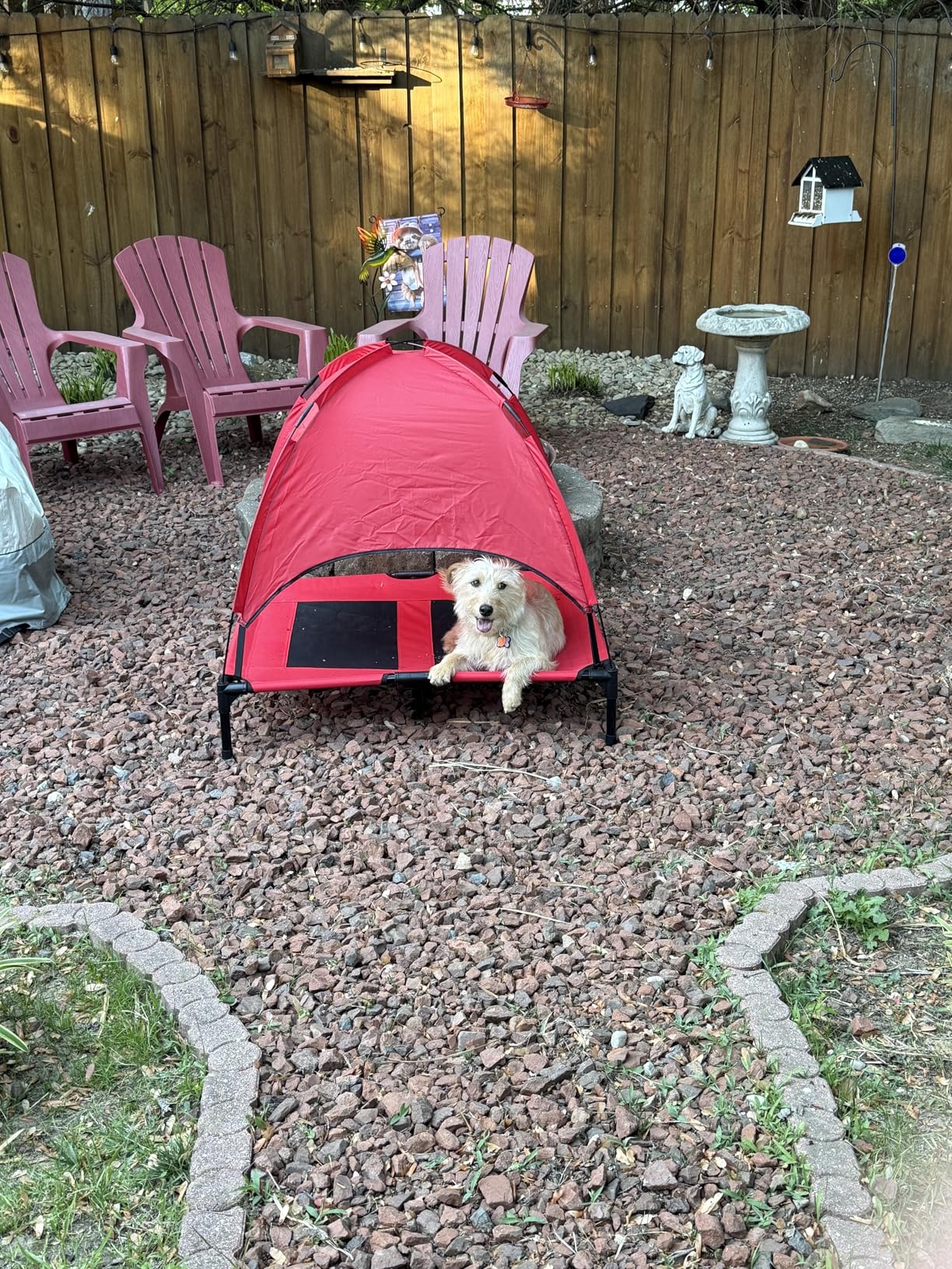 Best Choice Products 30in Elevated Cooling Dog Bed, Outdoor Raised Mesh Pet Cot w/ Removable Canopy Shade Tent, Carrying Bag, Breathable Fabric - Red customer photo 2