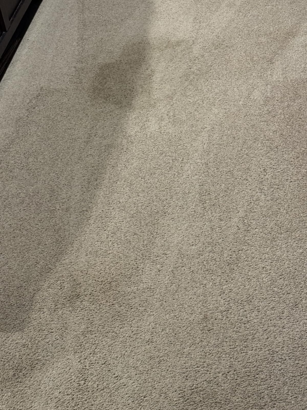 Hoover PowerDash Pet Compact Carpet Cleaner Machine, Lightweight Design customer photo 1