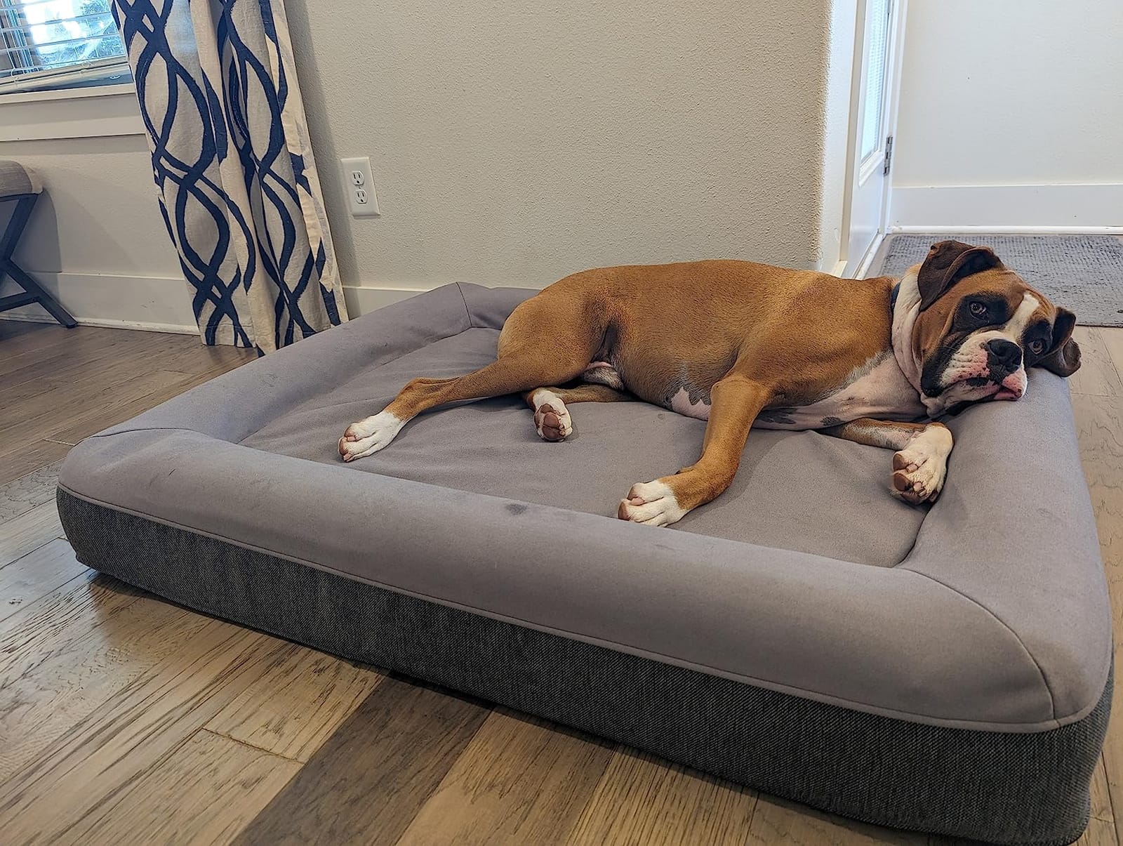 Casper Dog Bed, Plush Memory Foam, Small, Gray, 26.0