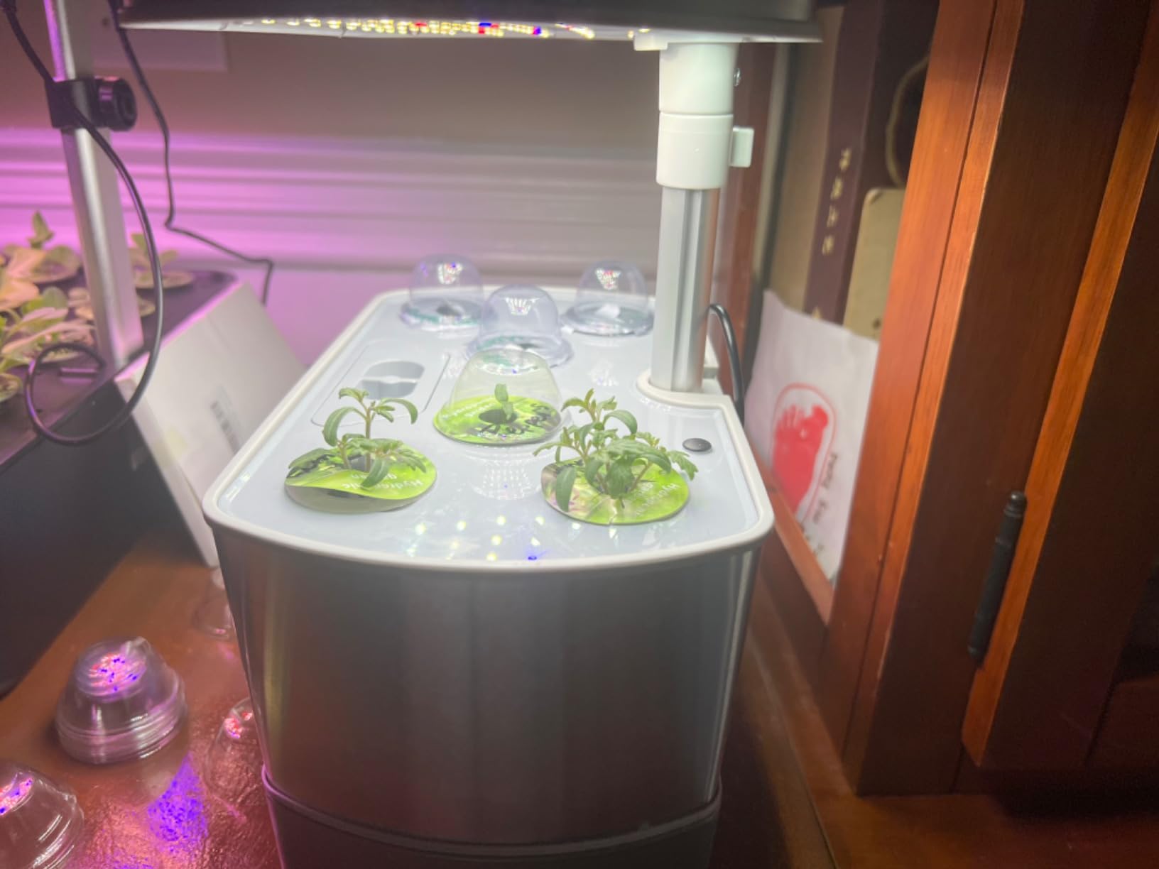 AeroGarden Harvest Elite, Stainless Steel | Indoor Garden with LED Grow Light and Seed Pod Kit customer photo 1