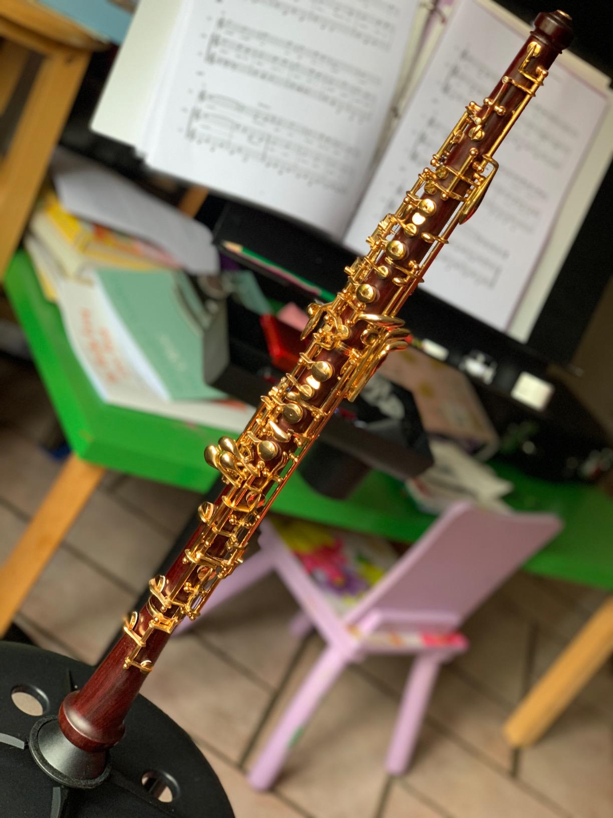 Yinfente Professional Oboe Gold Plated Rosewood C Key Left F Resonance Semi-Automatic Woodwind Instrument With Oboe Accessories customer photo 2