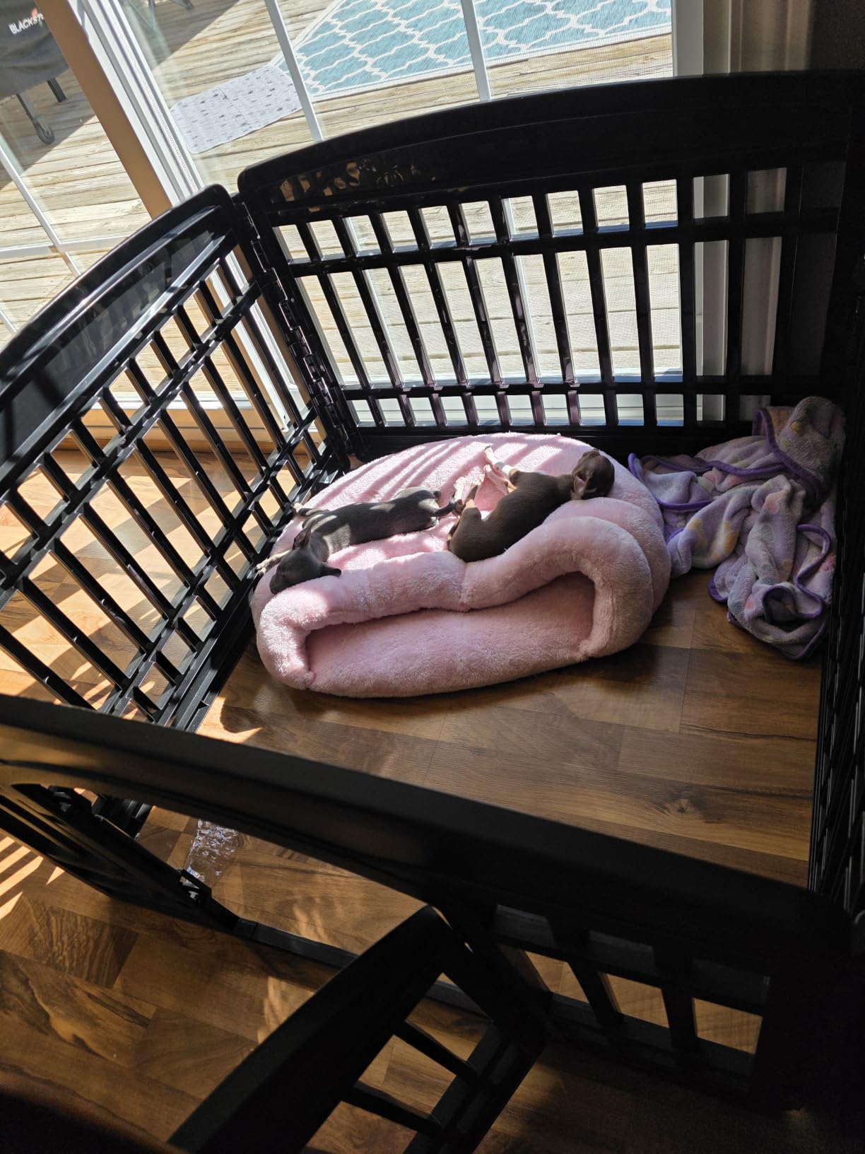 IRIS USA 4-Panel Dog Playpen, Pet Enclosure, White | Puppy Training, Configurable Layout, Multi-Shape Setup, Custom Pen Configuration, Secure Door Latch, Stable Non-Tip Base customer photo 1