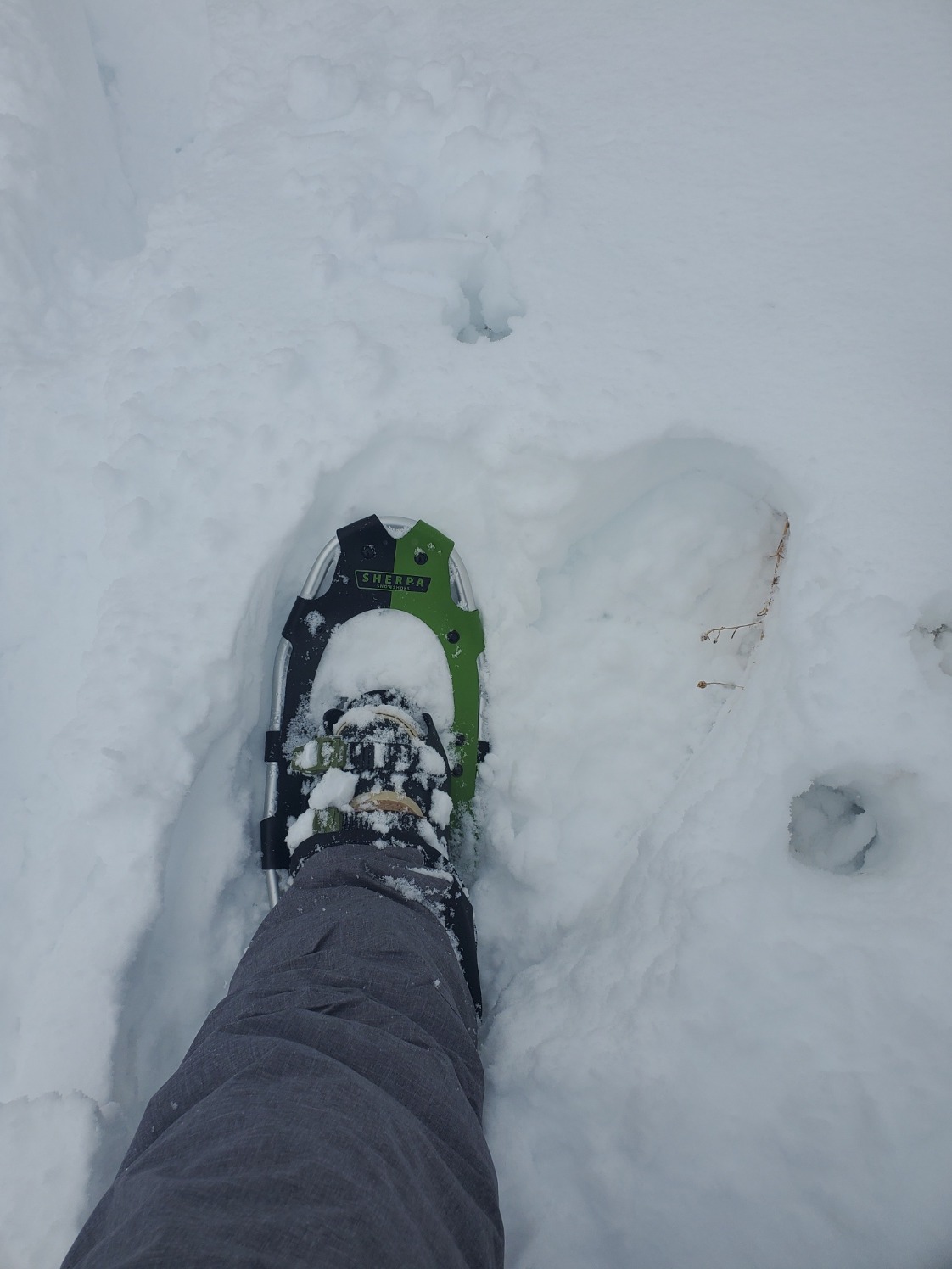 Yukon Charlie's Sherpa Snowshoe, Snowshoes for Men & Women, Snowshoeing Kits for All Skill Levels customer photo 1