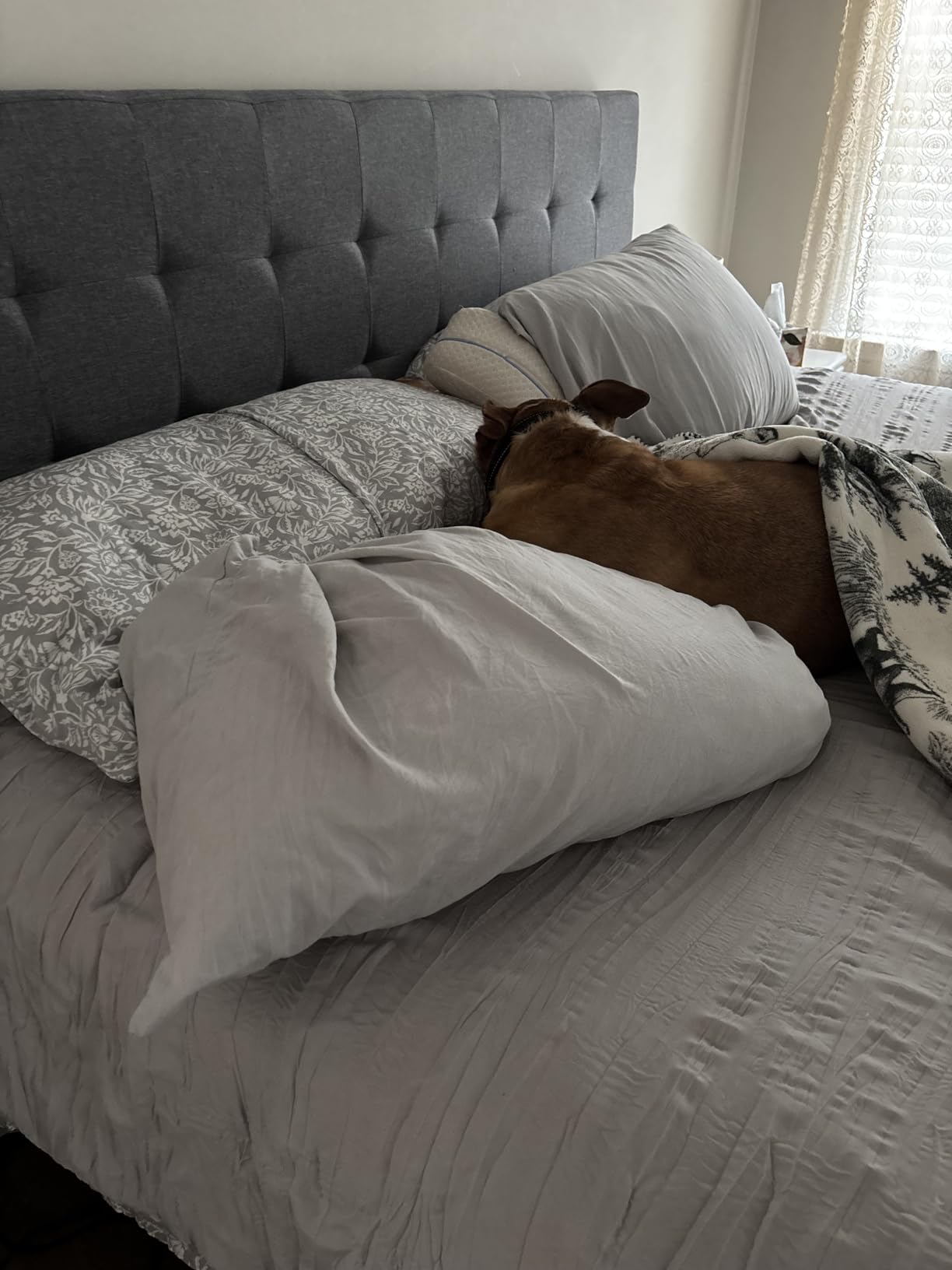 Amazon Basics Faux Linen Upholstered Tufted Headboard with Adjustable Height, King, Gray customer photo 1