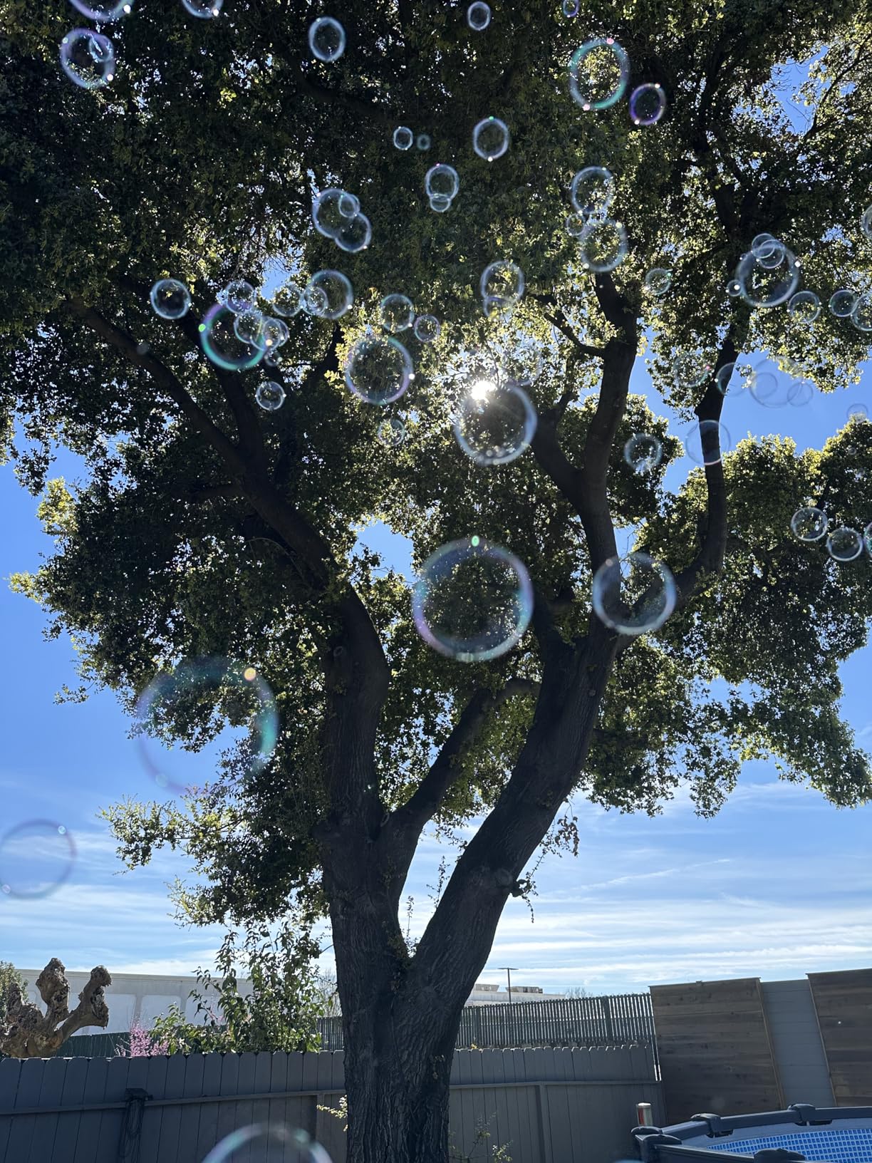 ATDAWN 1L High-Capacity Automatic Bubble Machine with 45ft Remote, Professional Metal Bubble Blower for Wedding Party Stage Event Indoor Outdoor Use - Adult Supervision Required customer photo 2