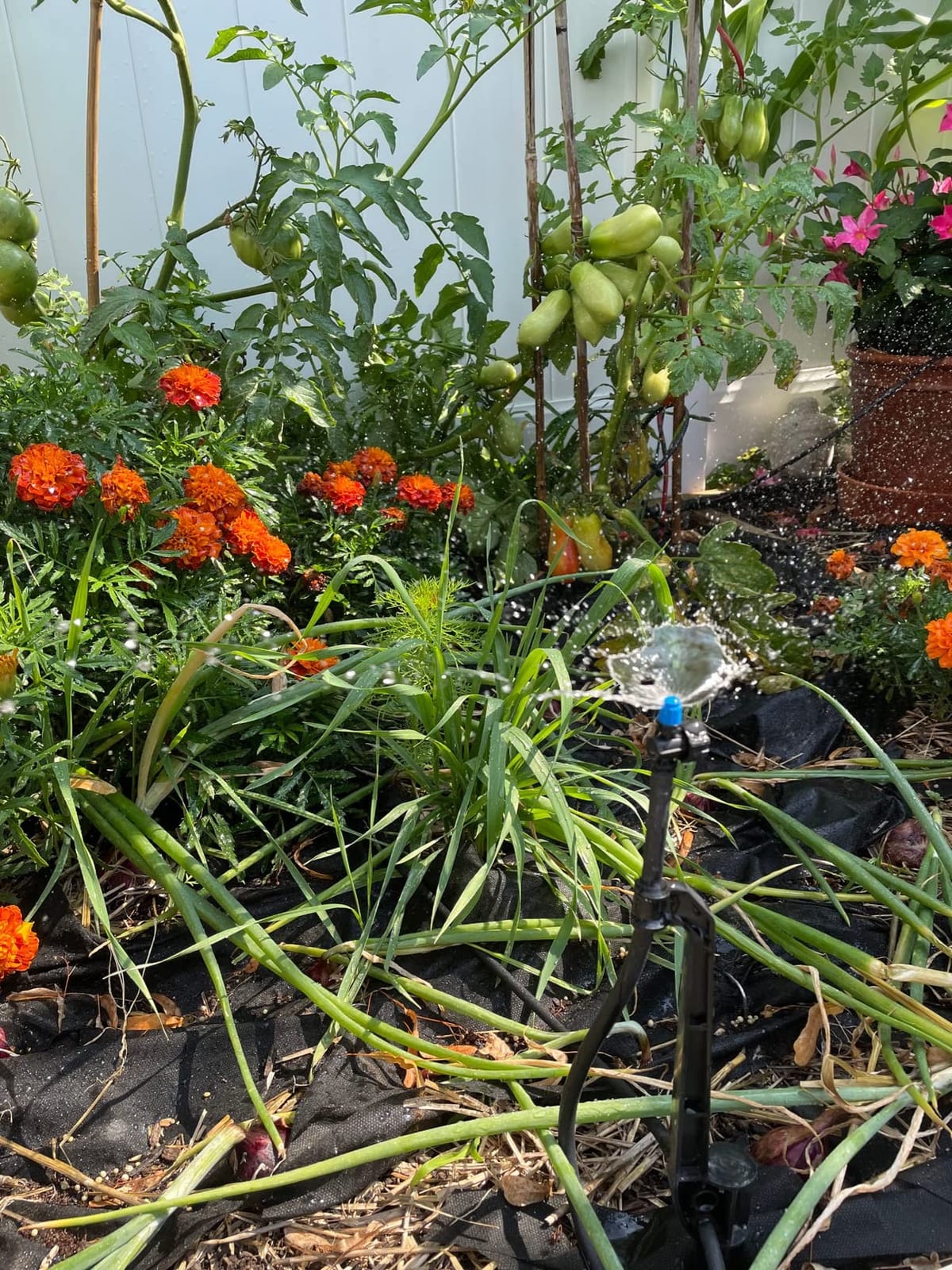 Rain Bird LNDDRIPKIT Drip Irrigation Kit customer photo 1