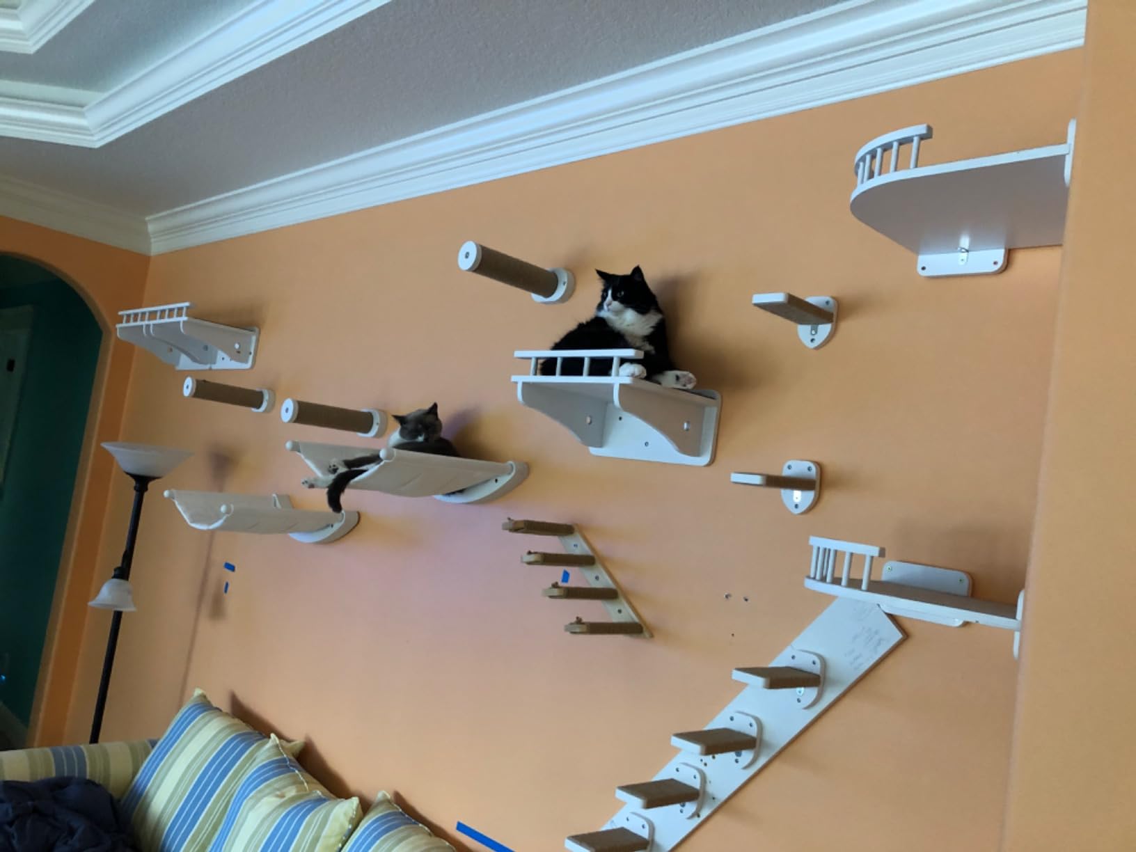 Cat Wall Shelves for Large Cats - Hammock and Steps Set | Featuring a roomy 21-inch cat wall hammock, padded removable cushion and 2 sturdy climbing steps for large cats customer photo 1