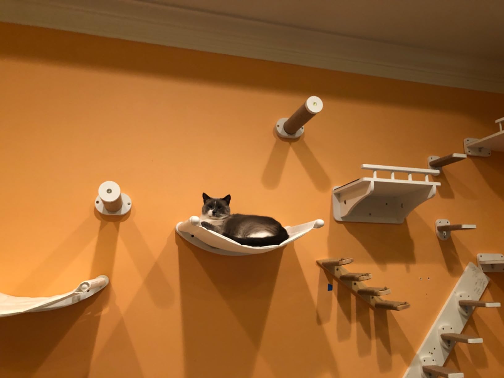 Cat Wall Shelves for Large Cats - Hammock and Steps Set | Featuring a roomy 21-inch cat wall hammock, padded removable cushion and 2 sturdy climbing steps for large cats customer photo 2