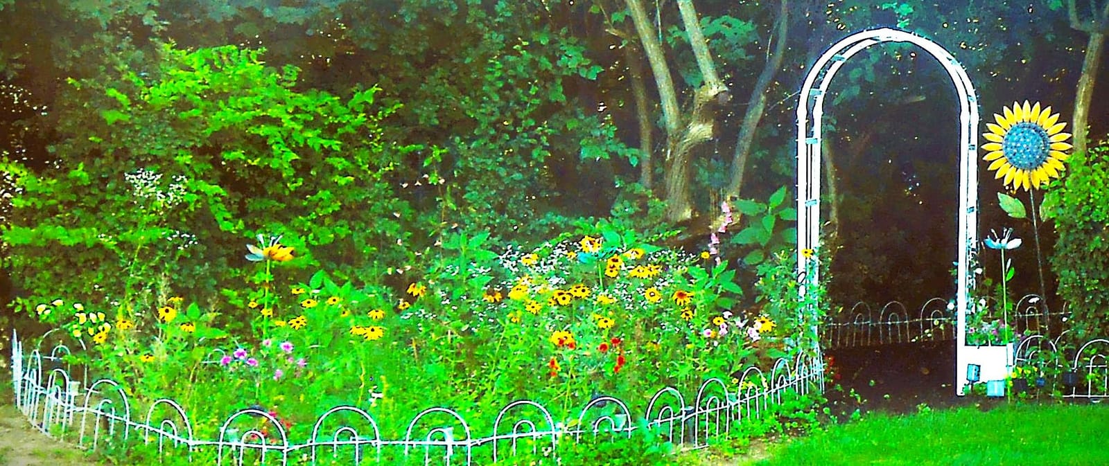 AMAGABELI 4 Panels 44 in(H )X 12 ft(L) Decorative Garden Fence Gate,Dog Fence Outdoor for Yard,Rustproof Tall Garden Fencing Animal Barrier Metal Wire Panel Border with Leaves for Flower Bed Black customer photo 2